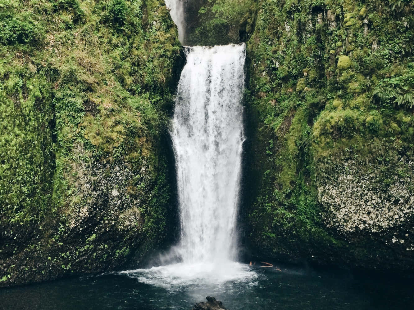 Cascada captivantă în mijlocul verdelui liniștit Fundal