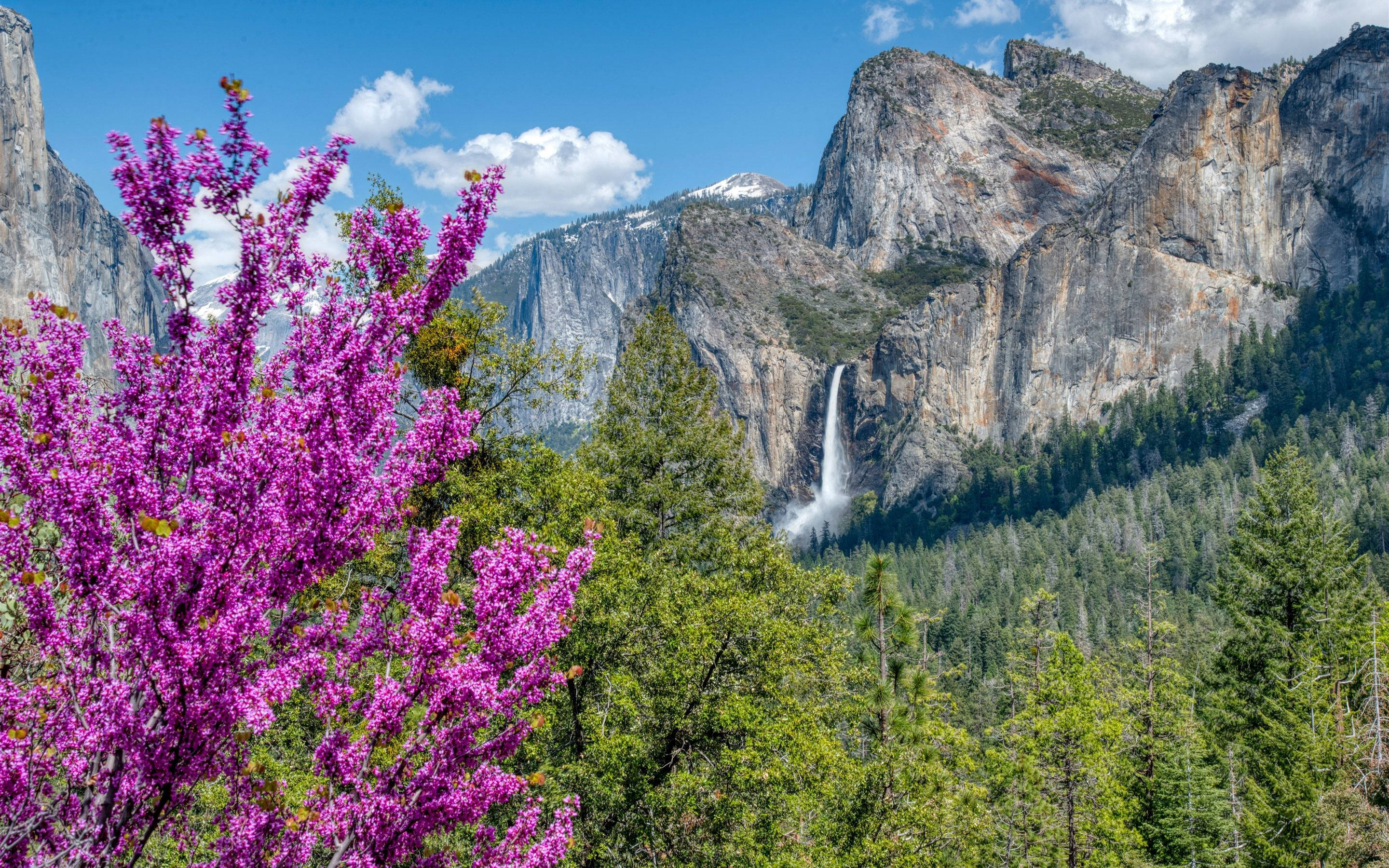 Cascada Frumoasă Yosemite Fundal