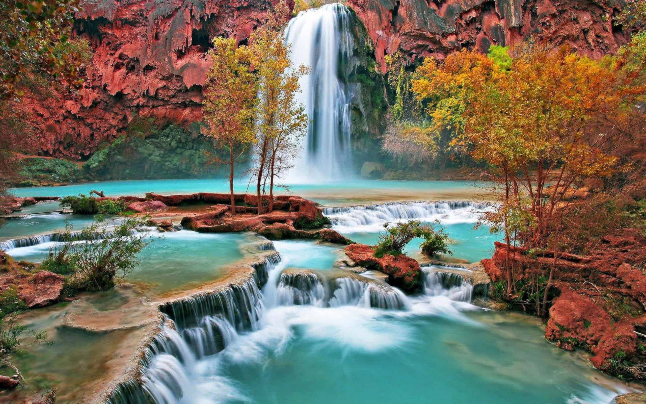 Cascada Havasu Falls Arizona Desktop Fundal