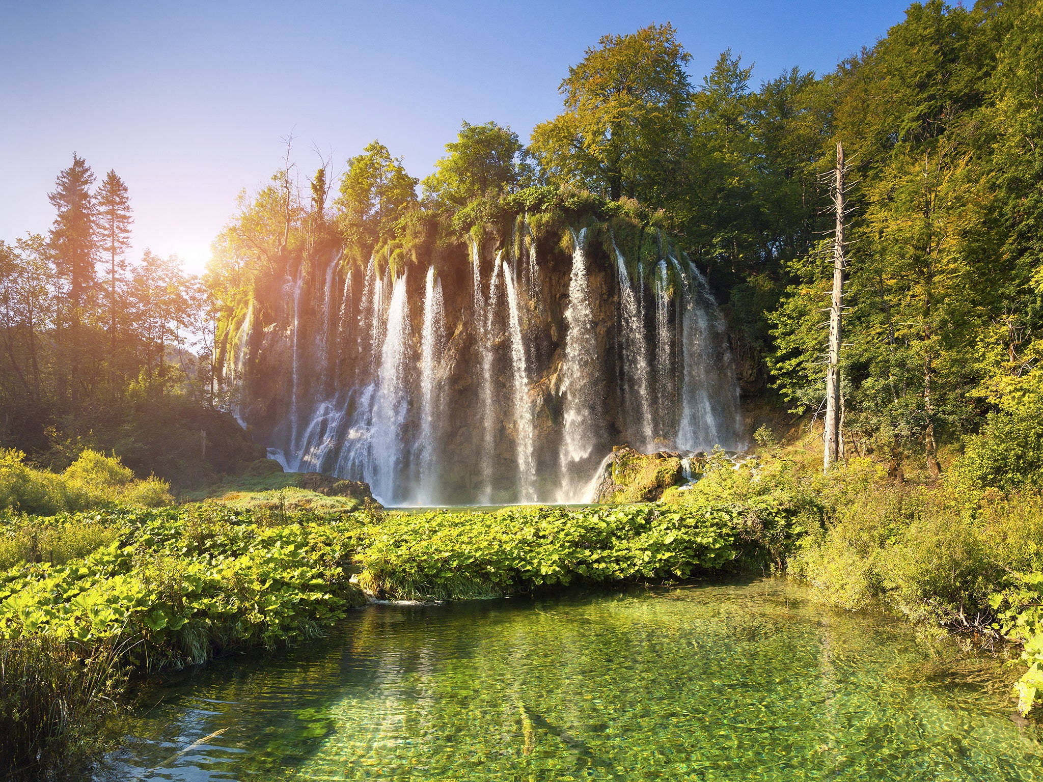 Cascadă în peisaj forestier luxuriant Fundal