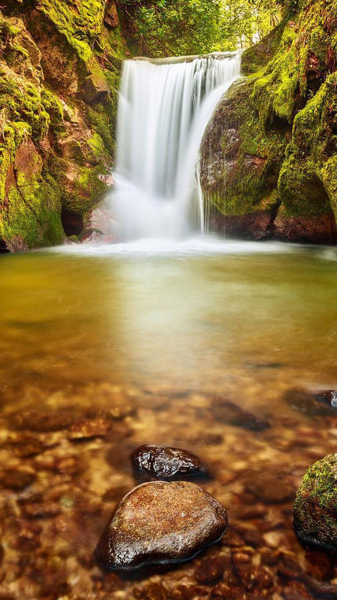 Cascada Portret Natural Fundal