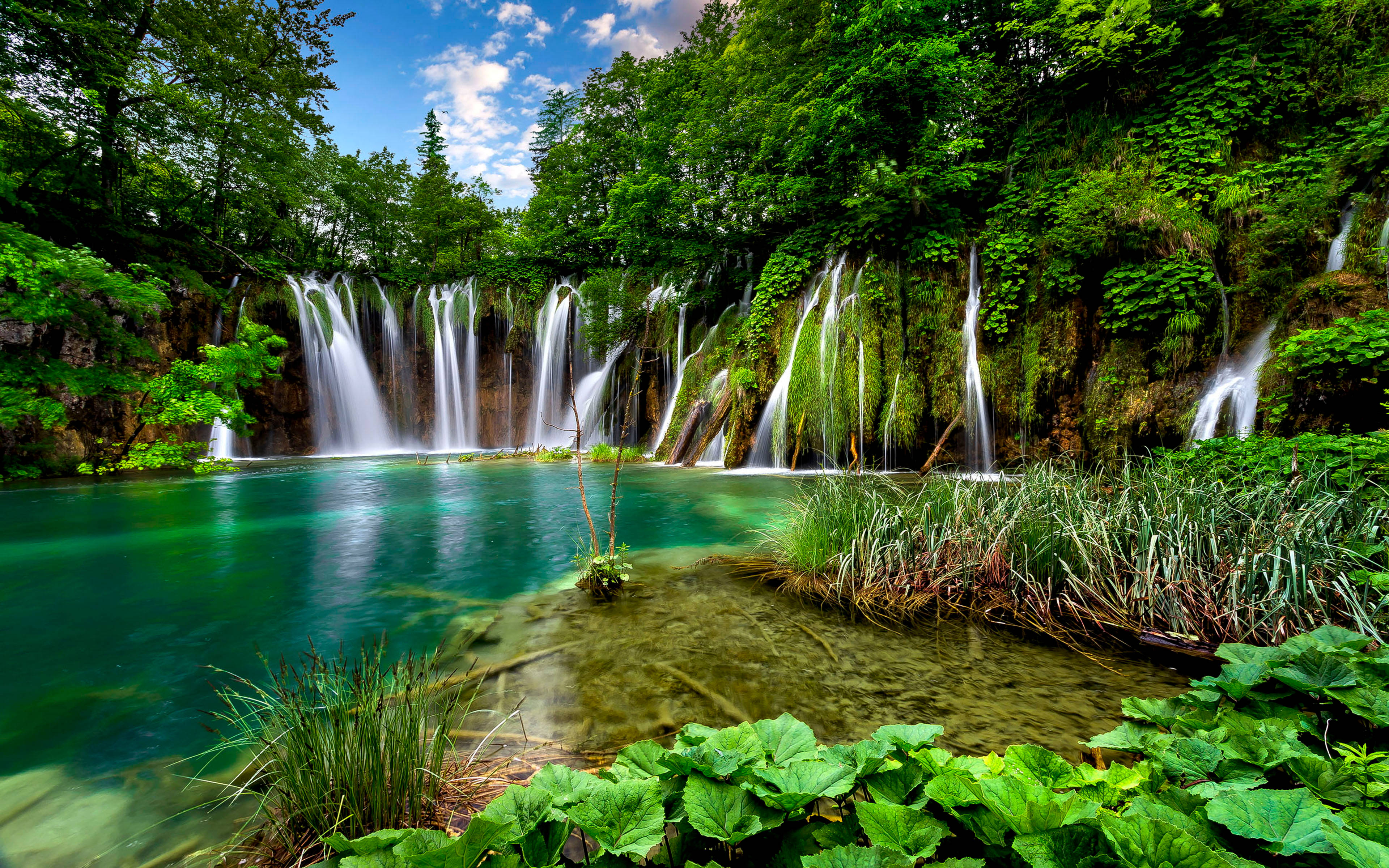 Cascade Naturale Fundal Profesional Desktop Fundal
