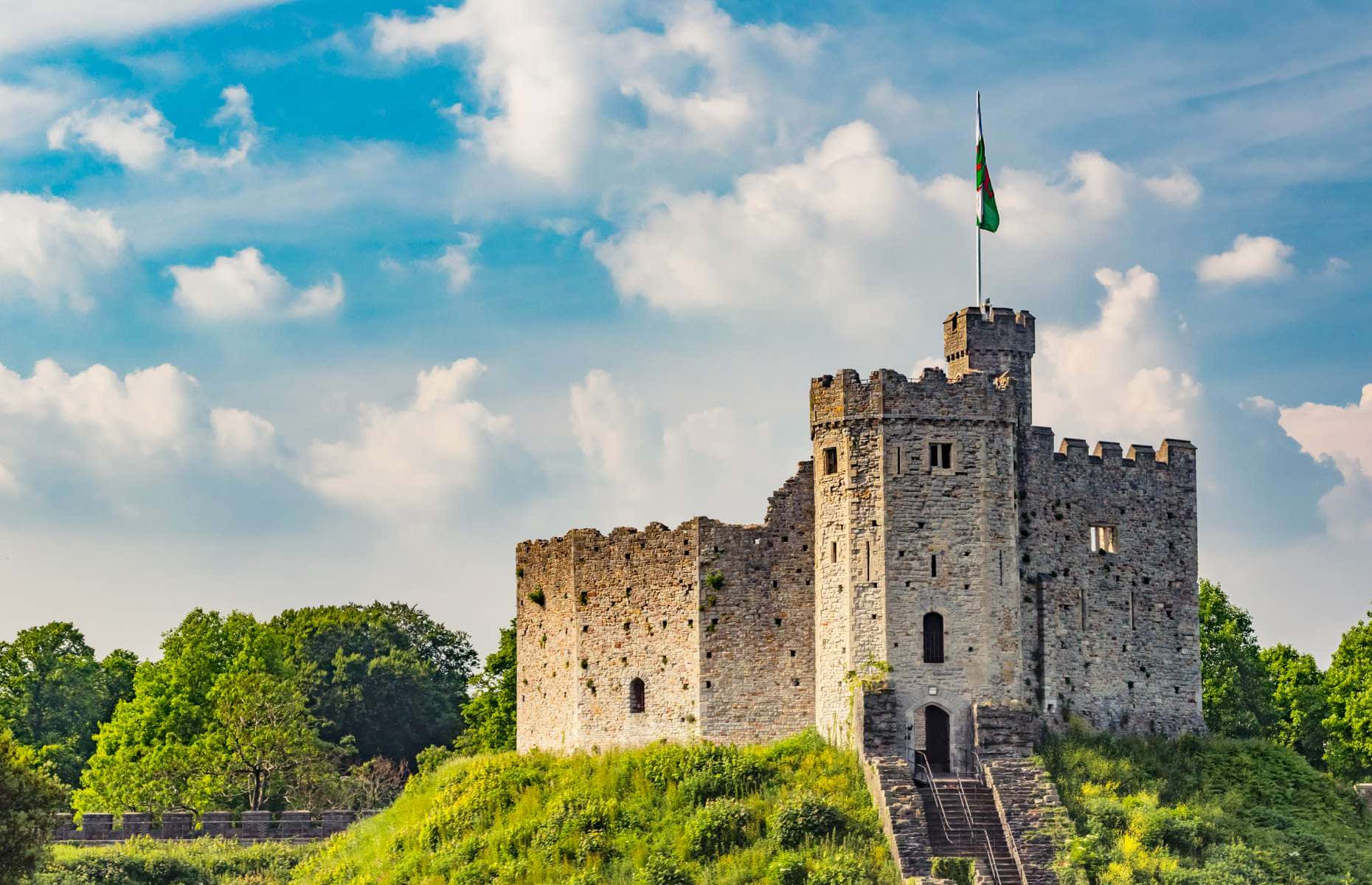 Castelul Cardiff Înconjurat de Copaci Fundal