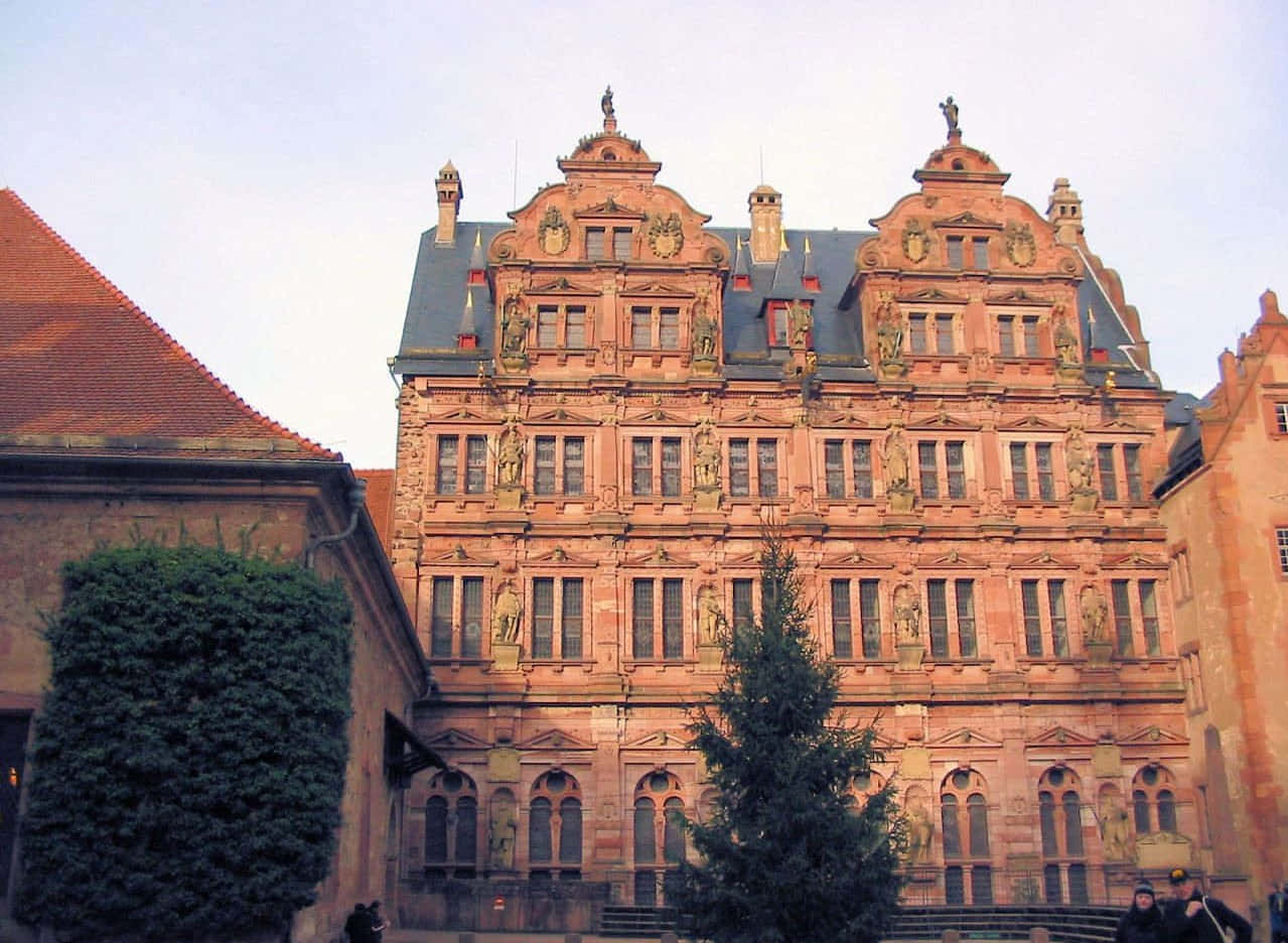 Castelul Heidelberg vedere din perspectiva viermelui Fundal