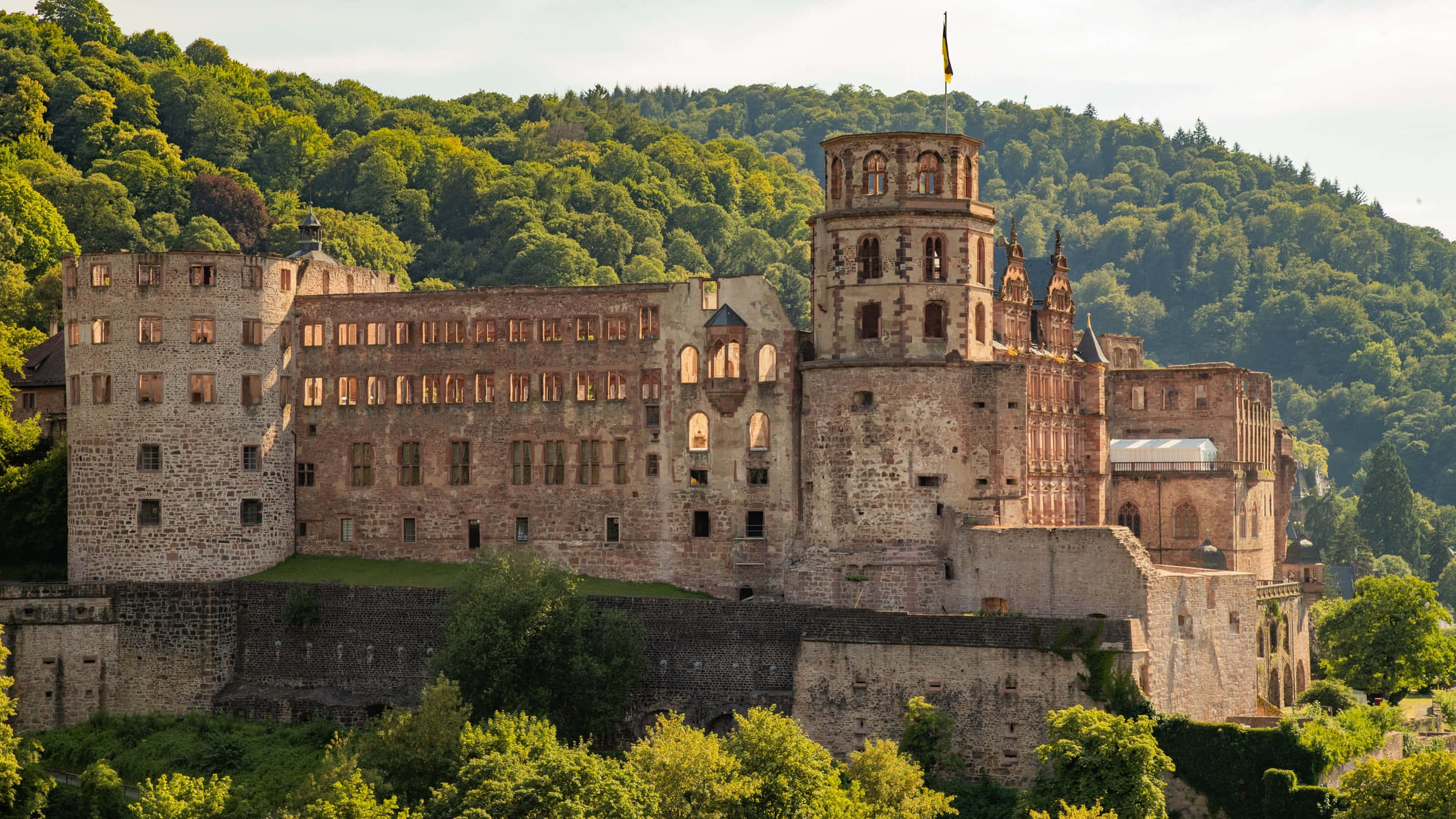 Castelul Heidelberg dimineața Fundal