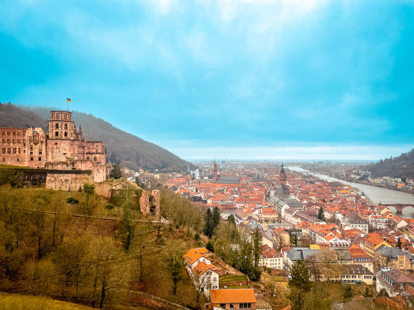 Castelul Heidelberg și panorama orașului Fundal