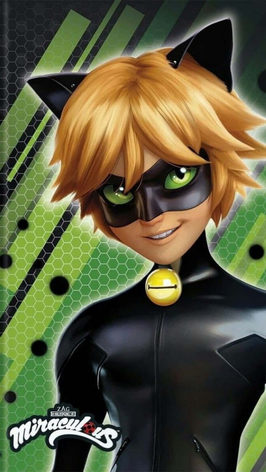 Cat Noir, Eroina Miraculous Fundal