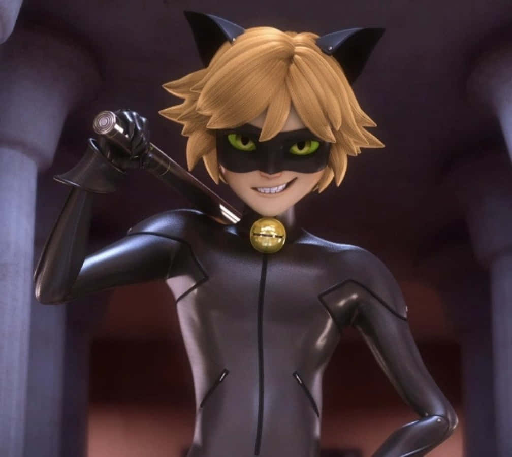Cat Noir este aici pentru a salva ziua! Fundal