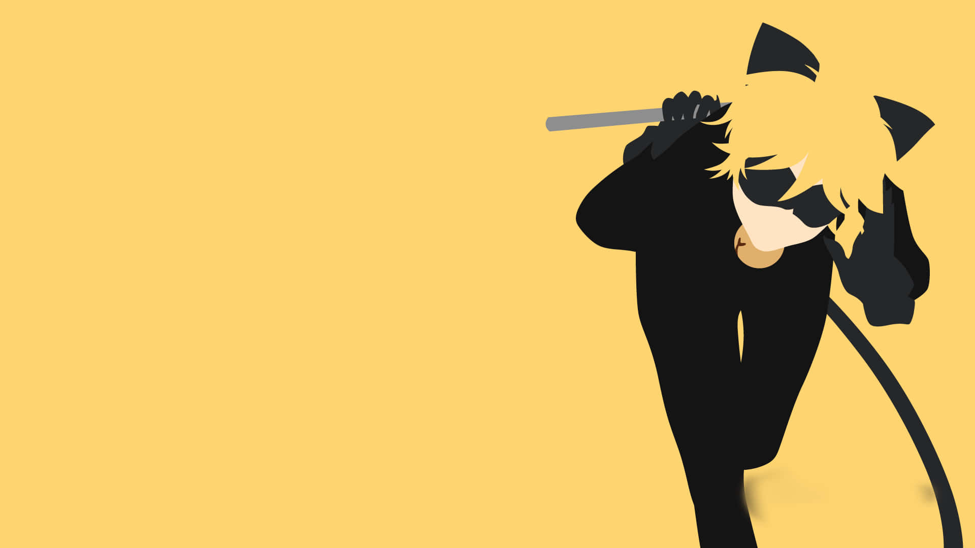 Cat Noir este Pregatit pentru Aventura Fundal