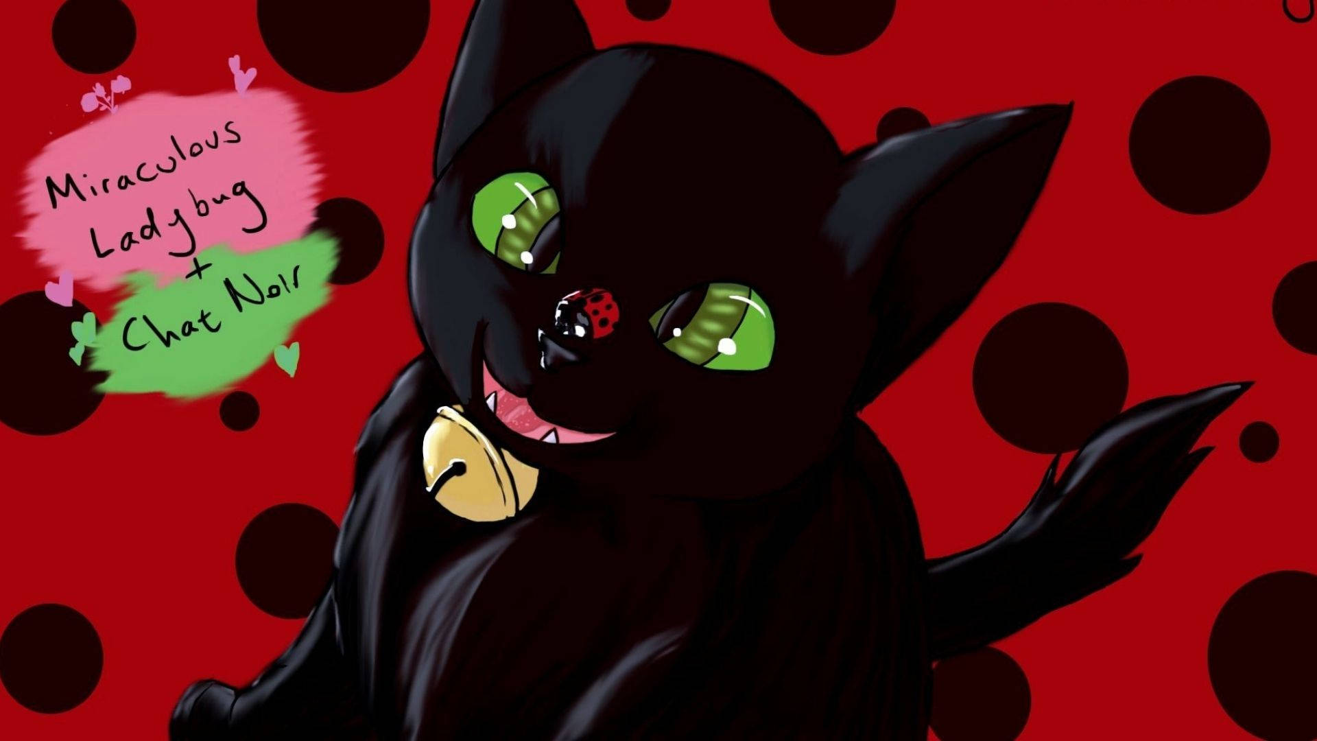 Cat Noir Figurină Animală Fundal
