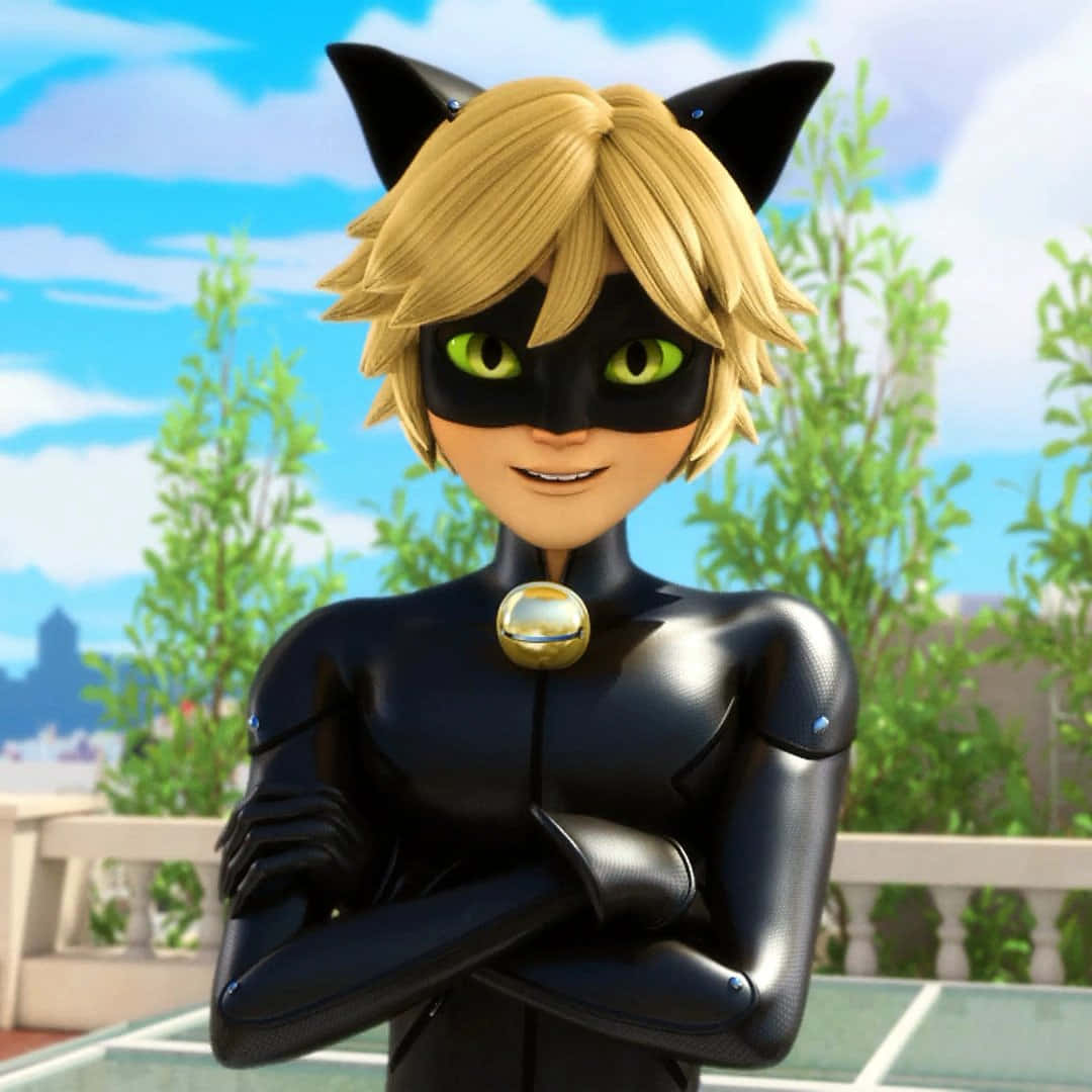 Cat Noir - Justițiarul Fundal