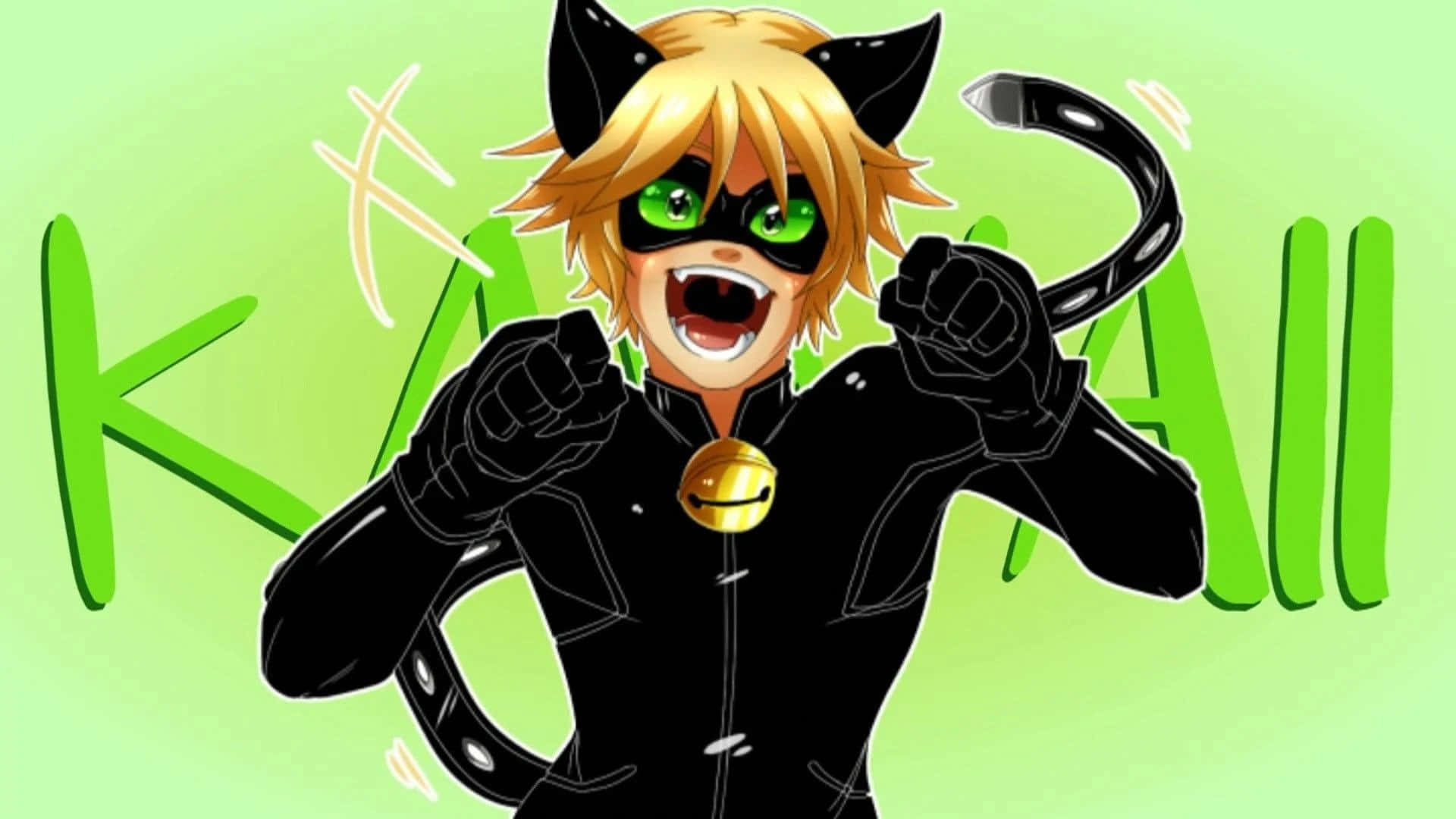Cat Noir patrulându-și teritoriul Fundal