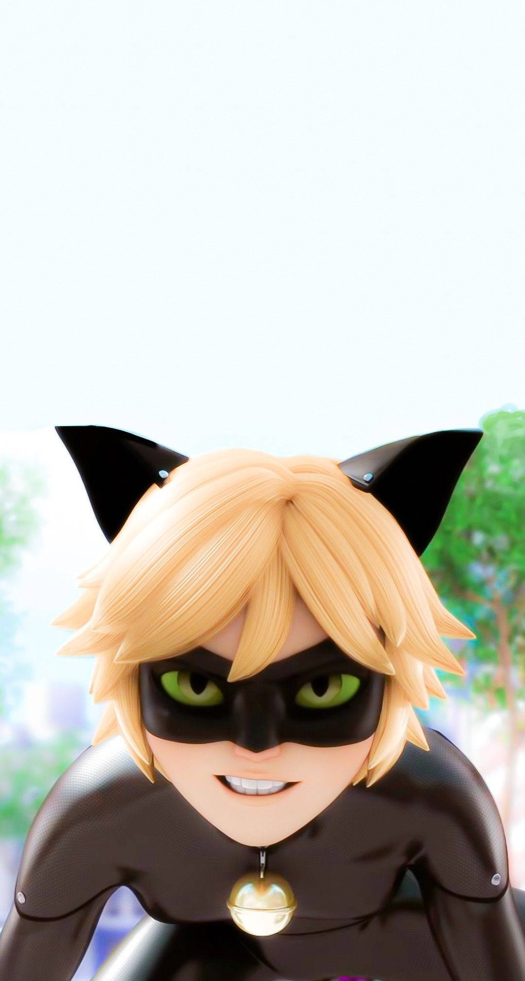 Cat Noir Privire Fierce Fundal