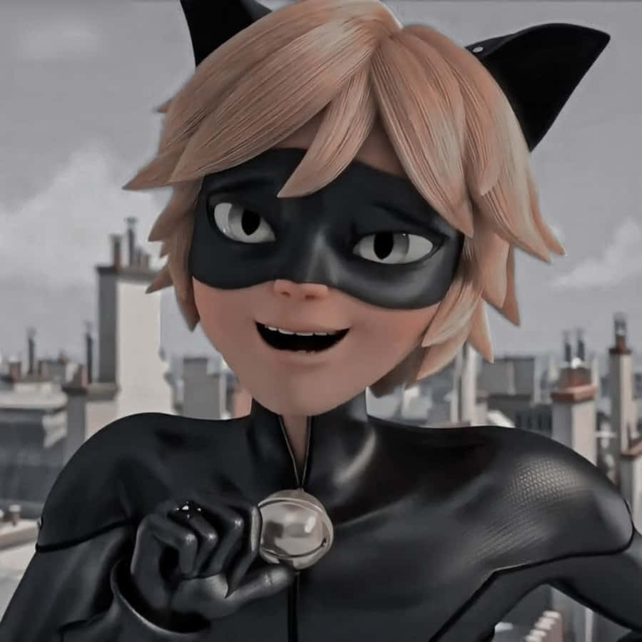 Cat Noir, Protectorul Parisului Fundal