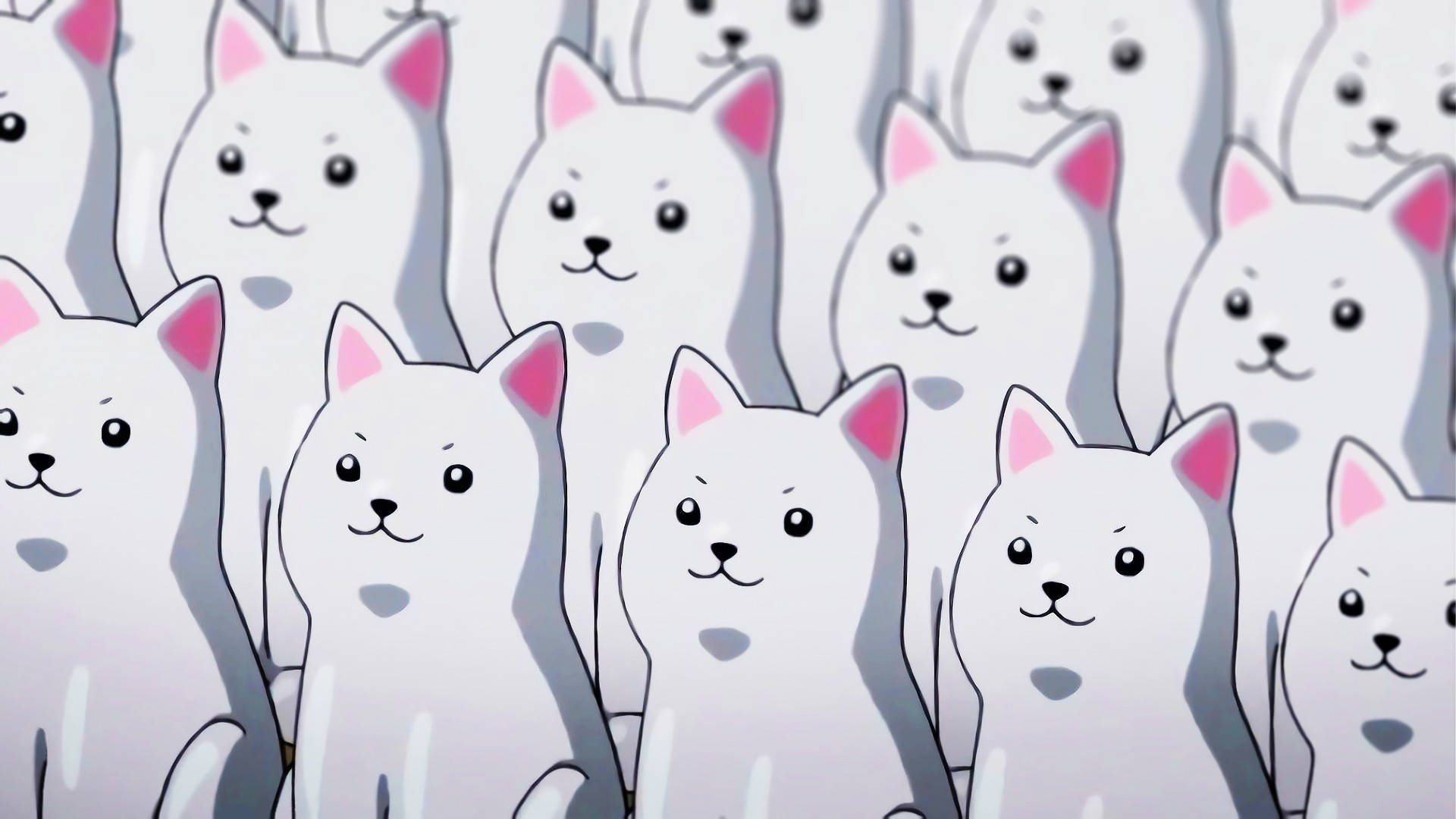 Căței albi Kawaii HD Fundal