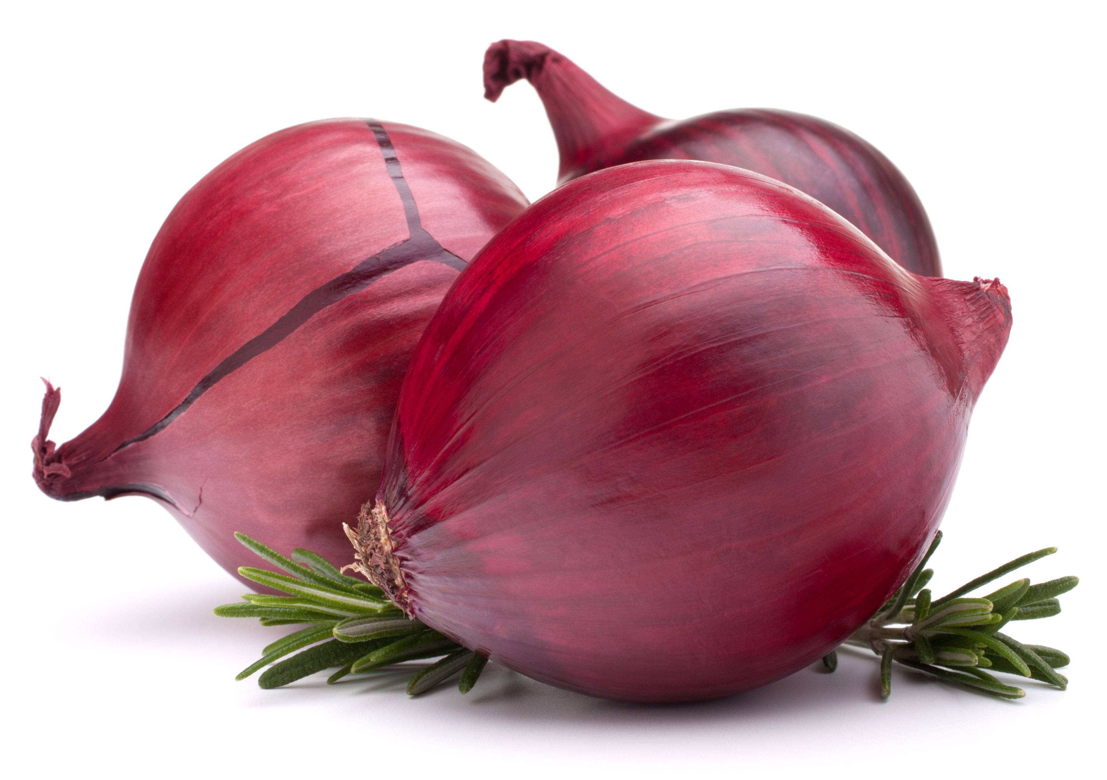 Ceapă roșie și crenguțe de rozmarin Fundal