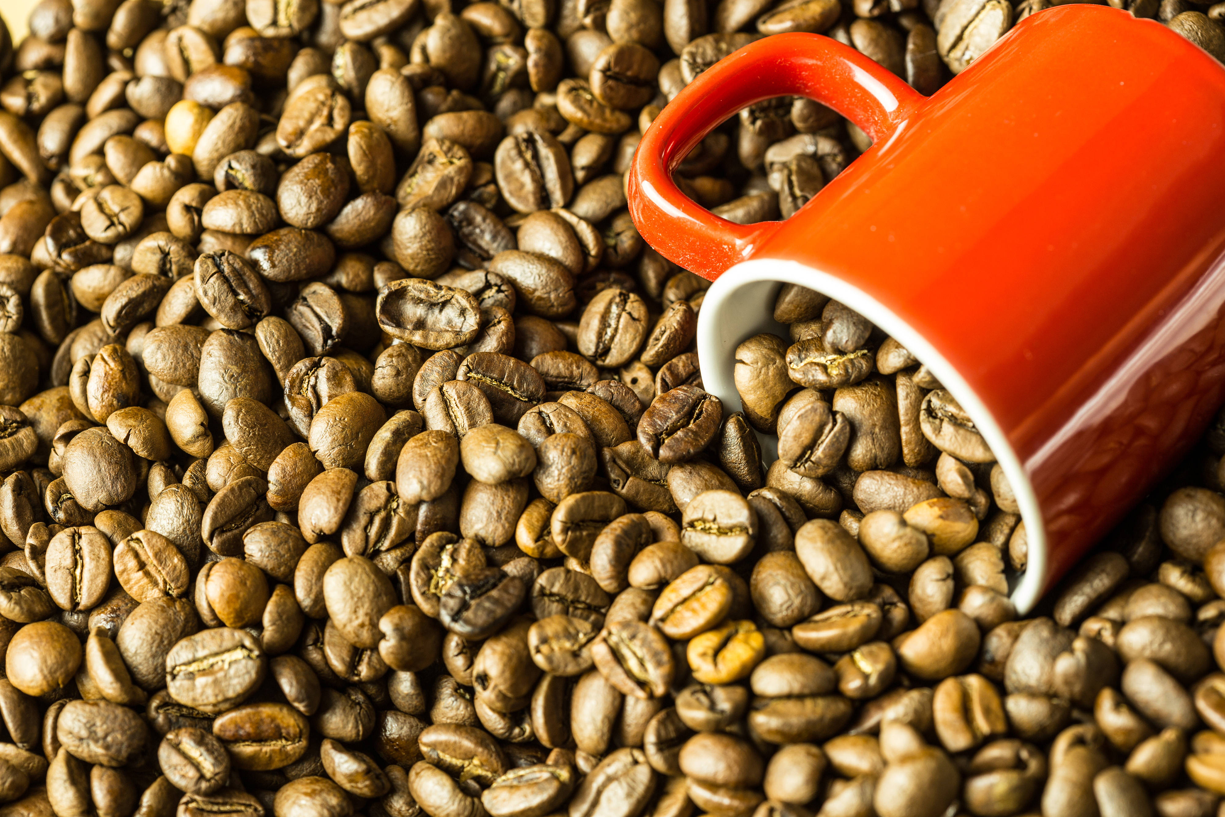 Ceașcă Roșie Mare Înfundată în Boabe de Cafea Fundal