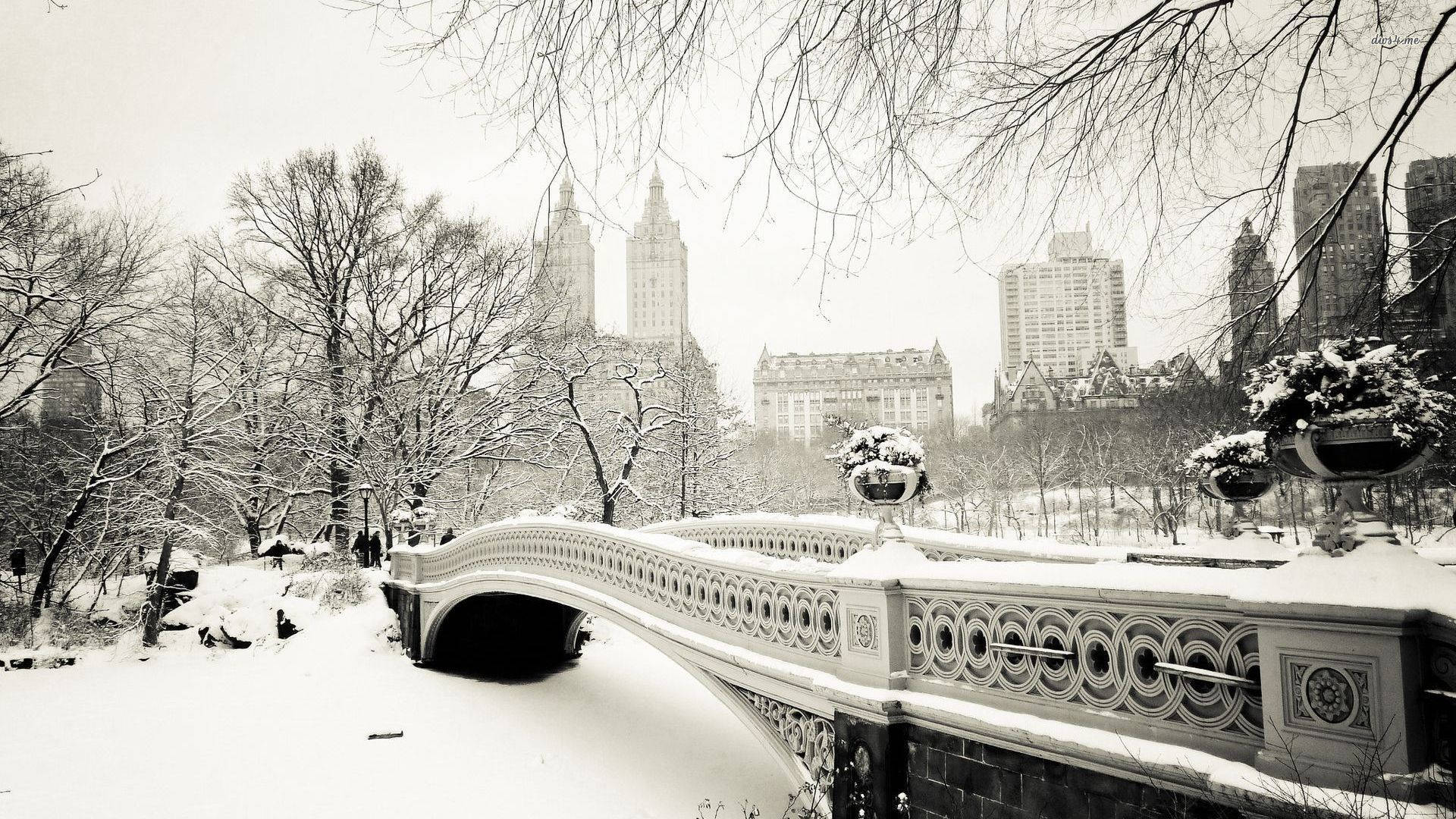 Central Park iarna, estetică de iarnă Fundal