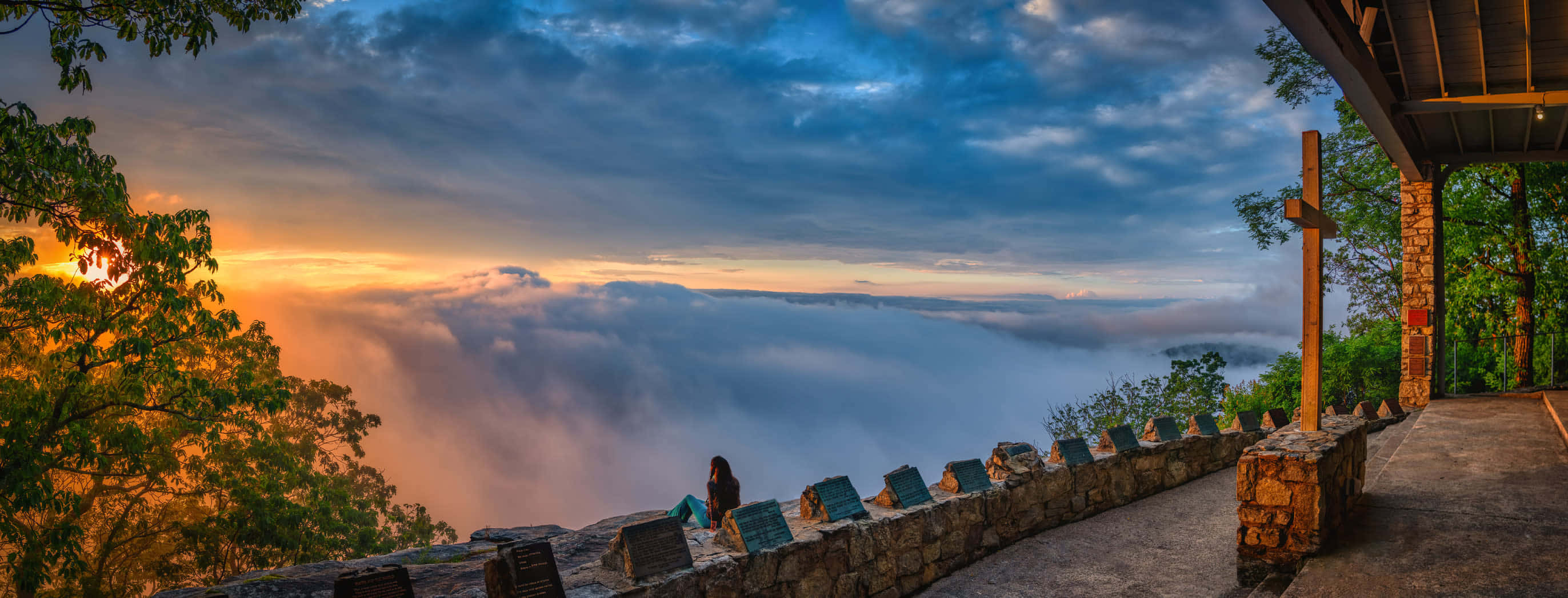 Cer albastru frumos cu o pădure în fundal