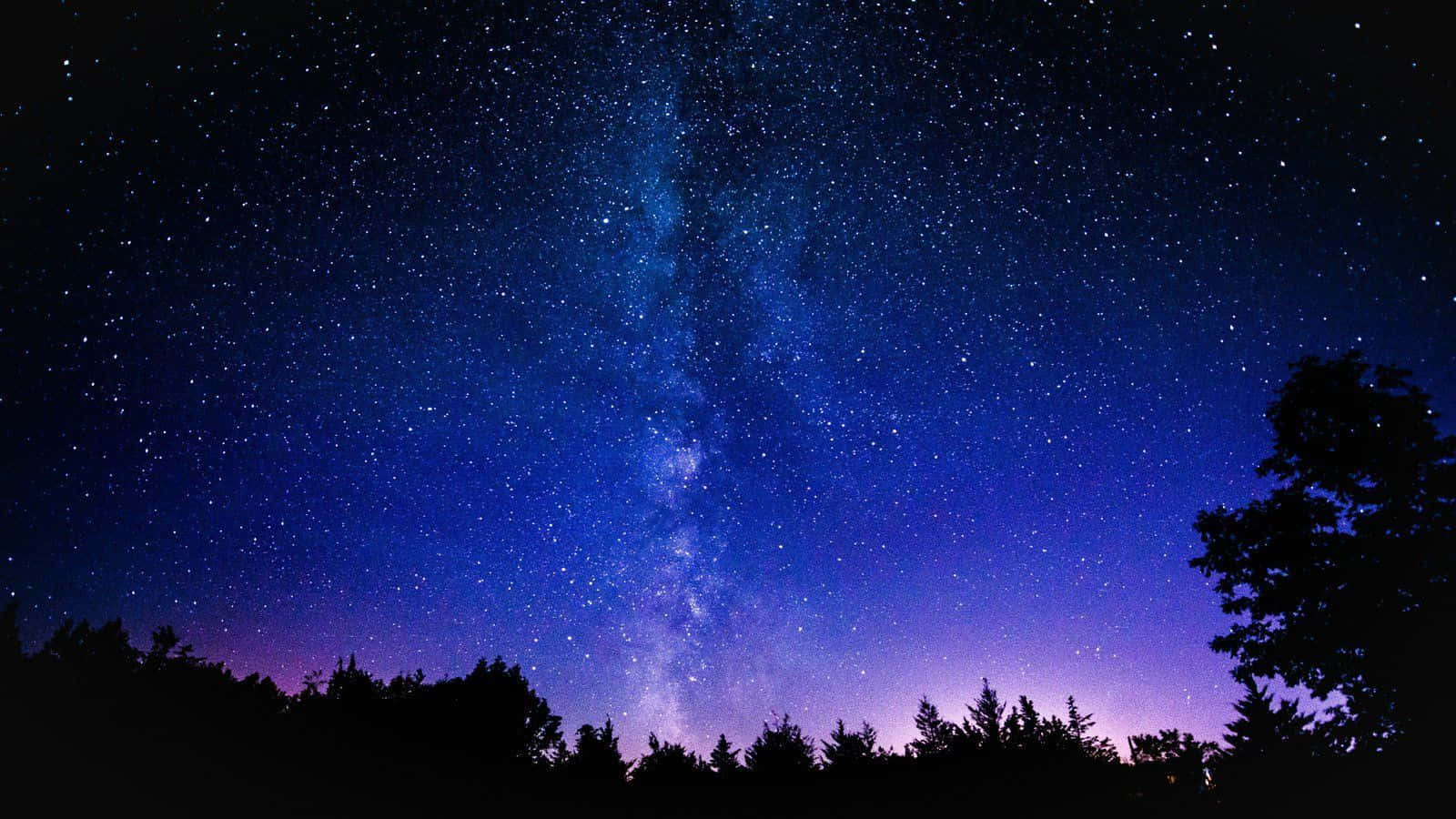 Cer Galactic Tufișuri Copaci Fundal