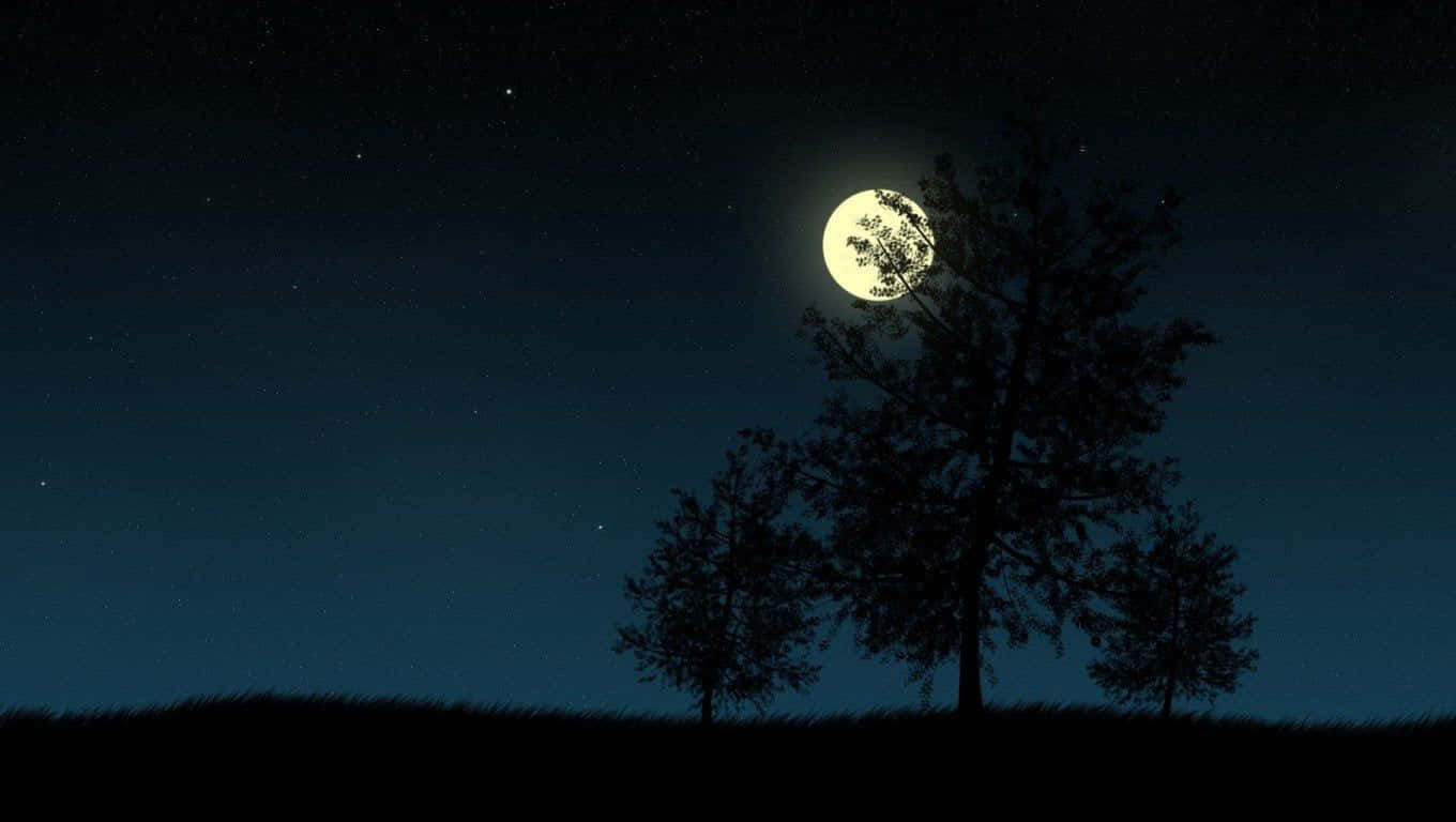 cer nocturn cu copaci și lună Fundal