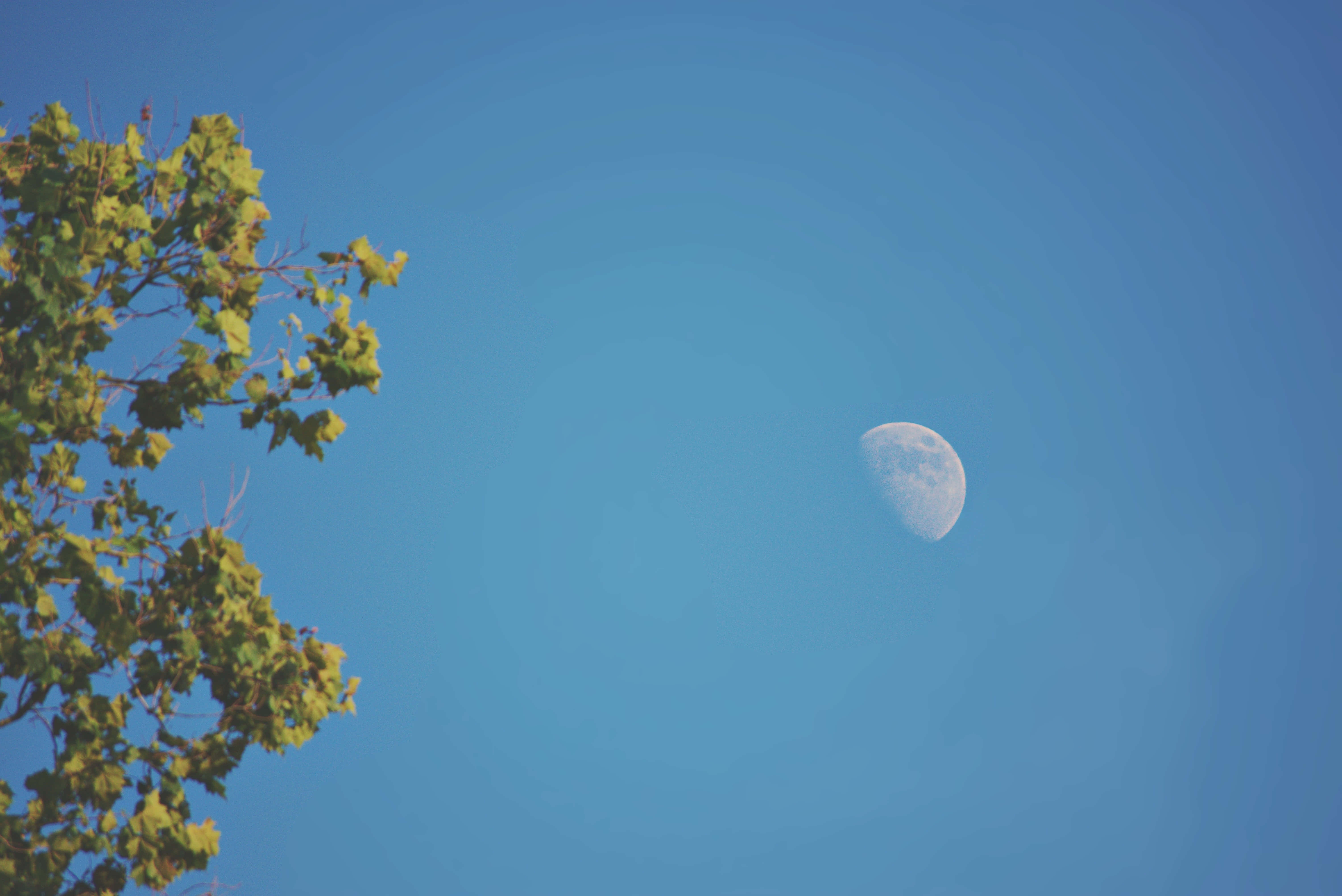 Cer Senin Albastru cu Lună Imagine Fundal