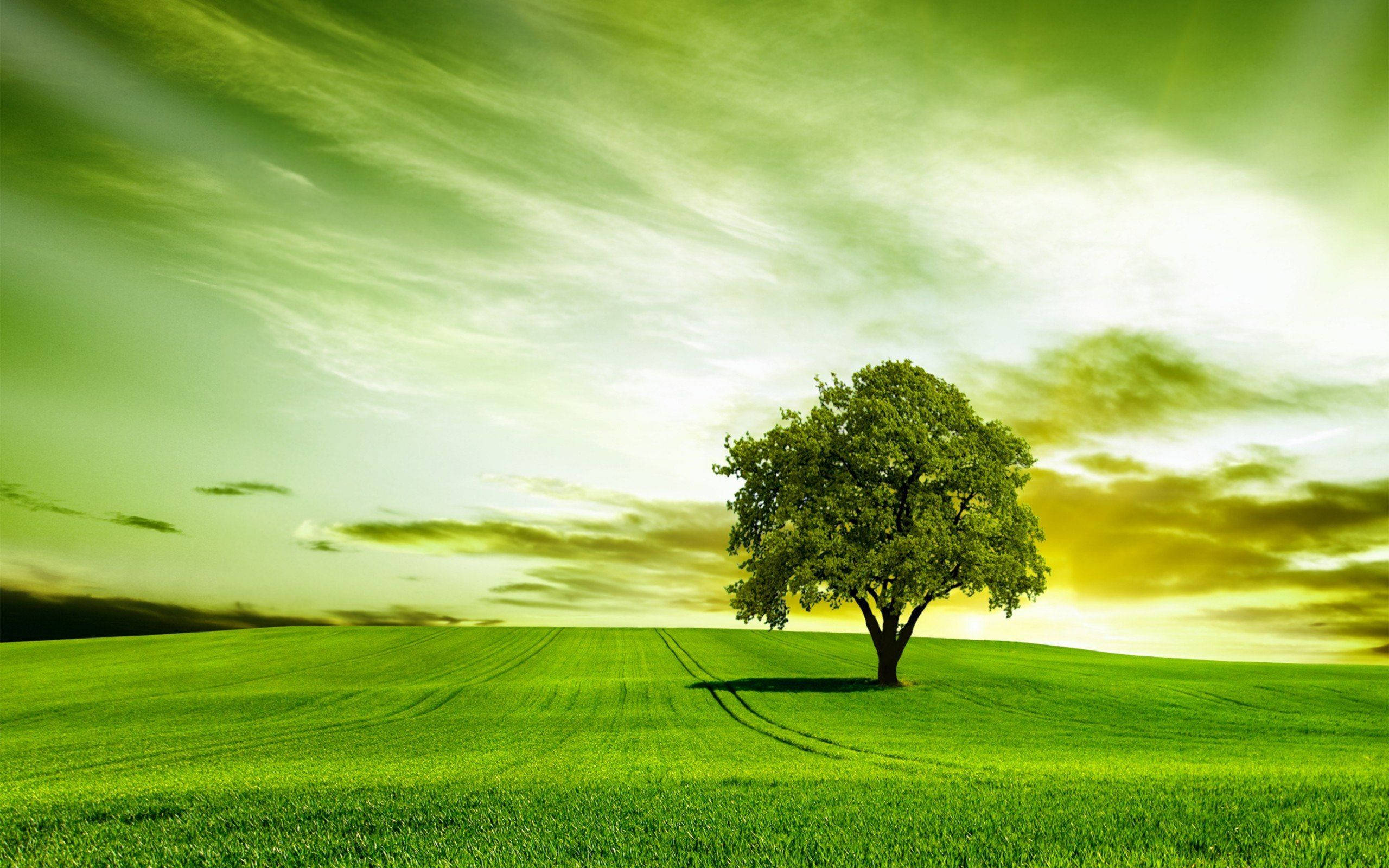 Cerul verde peste deal Fundal