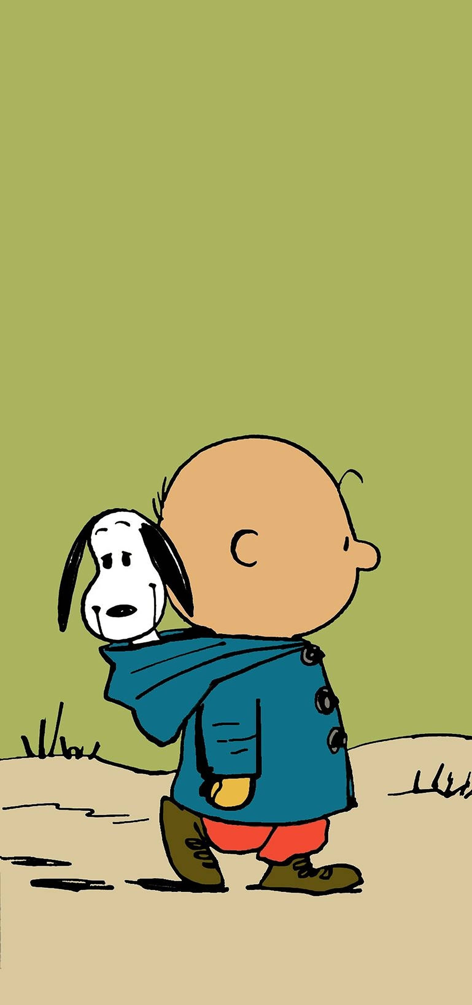 Charlie Brown în Hanorac Fundal