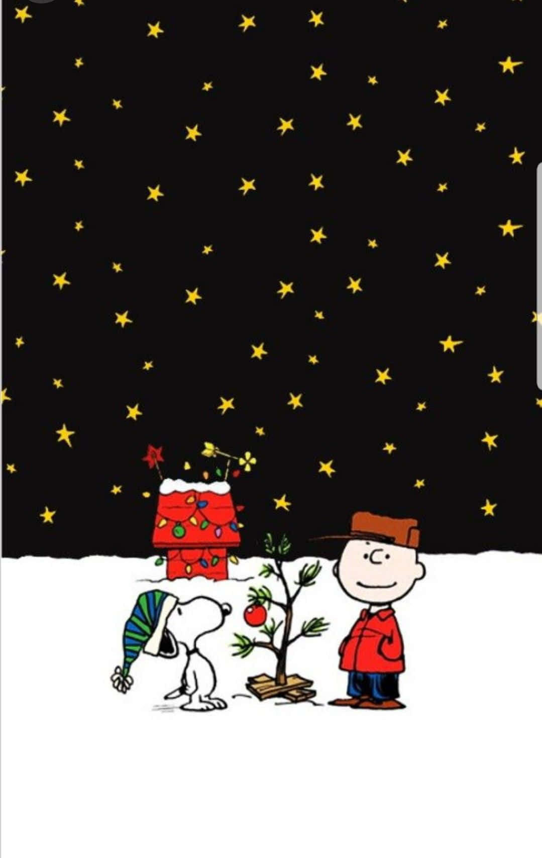 Charlie Brown Nocturnă de Crăciun Înstelată Fundal