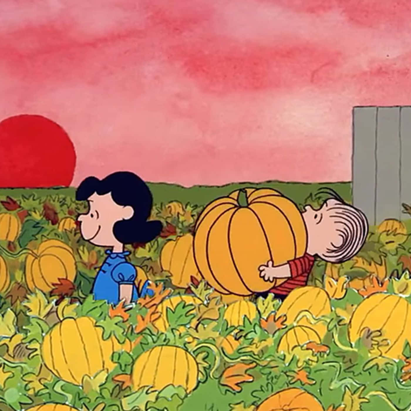 Charlie Brown se bucură de o noapte de Halloween înfricoșătoare Fundal