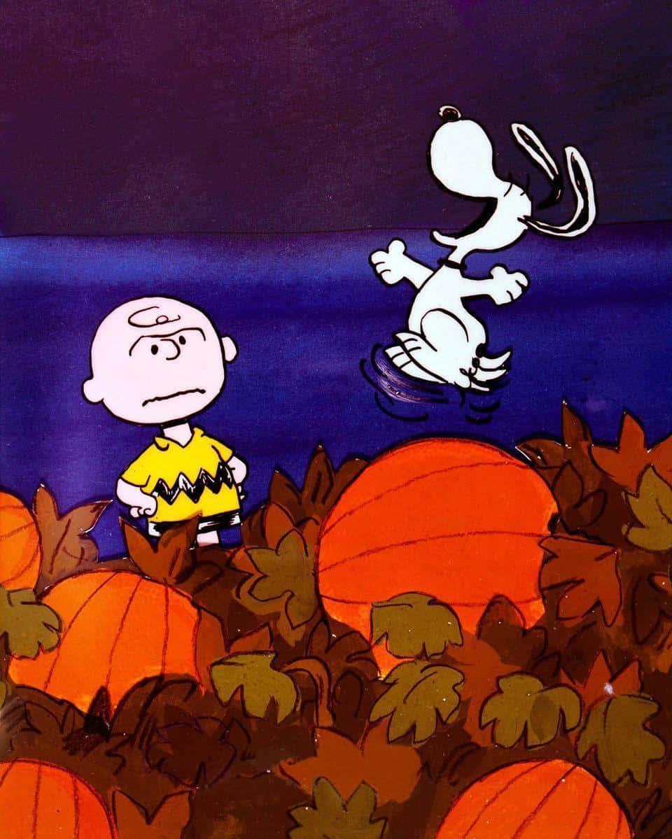 Charlie Brown și Peanuts în lanul de dovleci Fundal