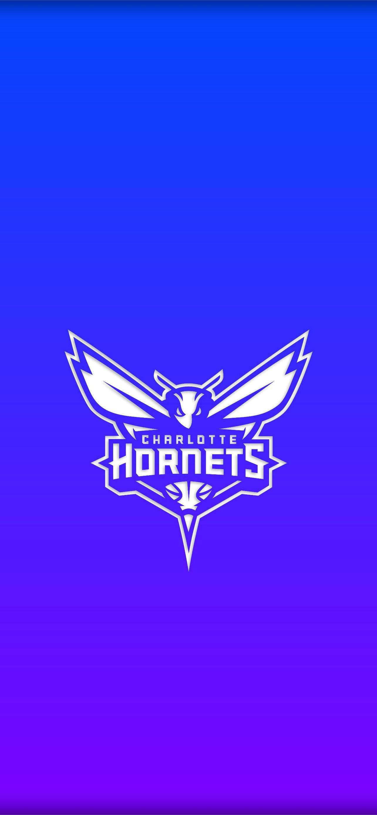 Charlotte Hornets Gradient Blue Fundal