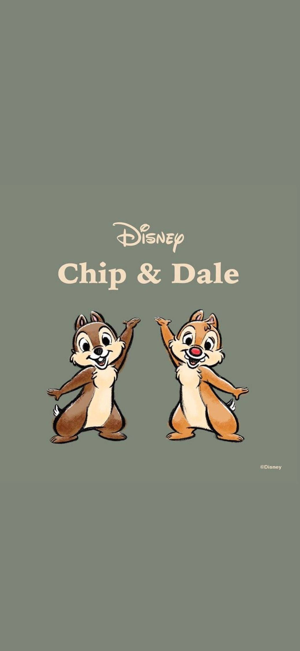 Chip N Dale Pe Fundal Gri Fundal