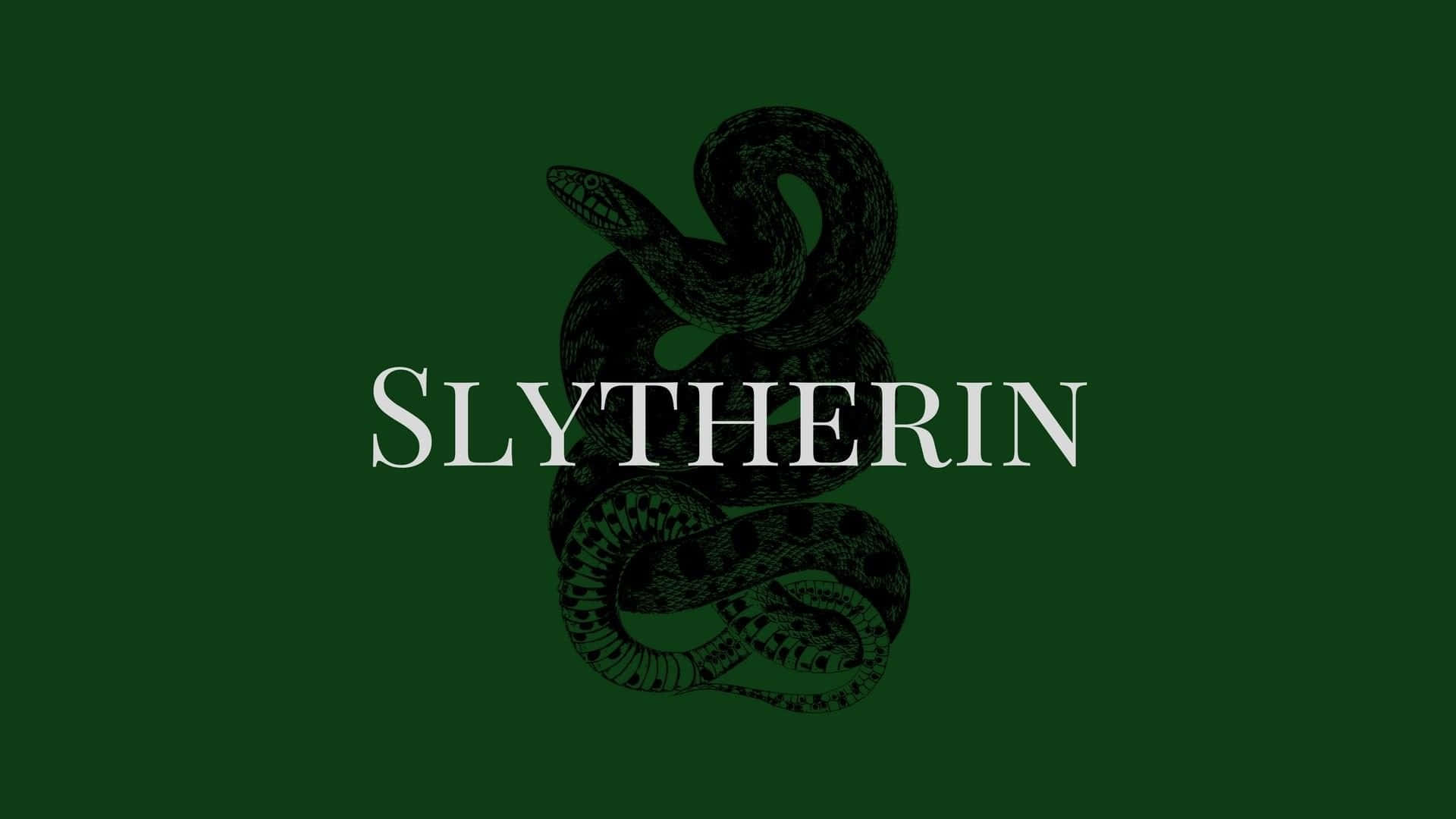 Cine va prevala în bătalia epică dintre Gryffindor și Slytherin? Fundal
