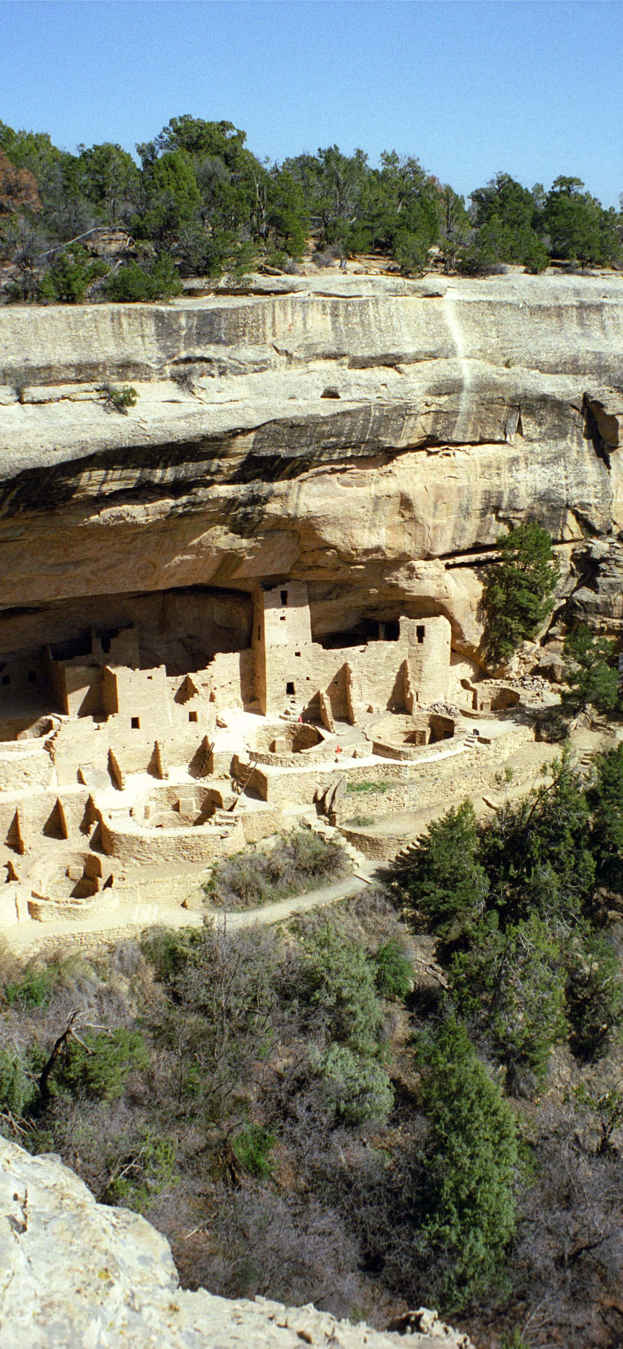 Cliff Palace Tan Color Mesa Verde National Park Fundal