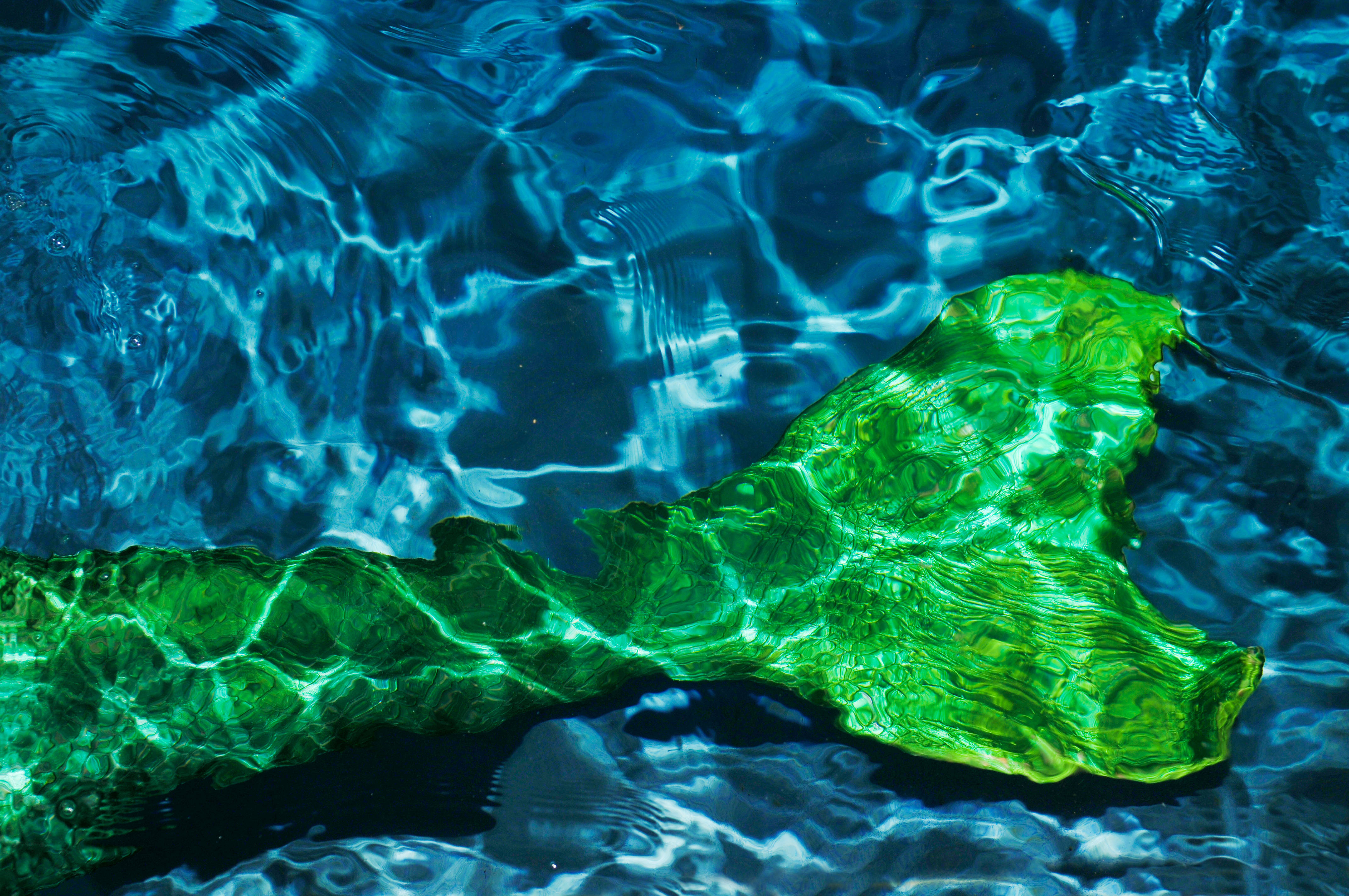 Coadă de Sirenă Verde Subacvatică Fundal