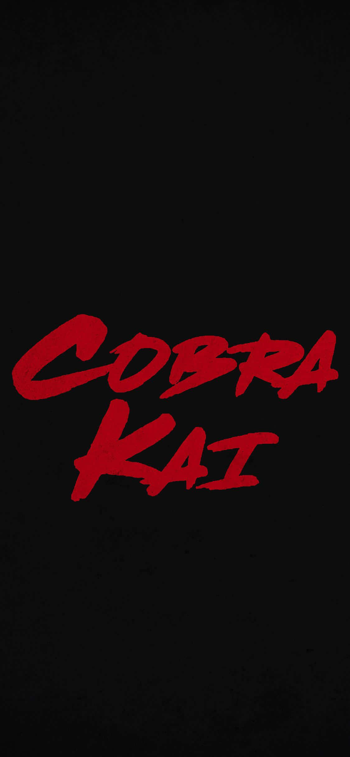 Cobra Kai iPhone Xr Titlu Fundal