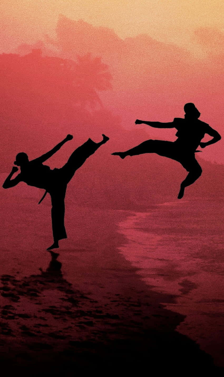 Cobra Kai iPhone Xr Siluetă Luptă Fundal