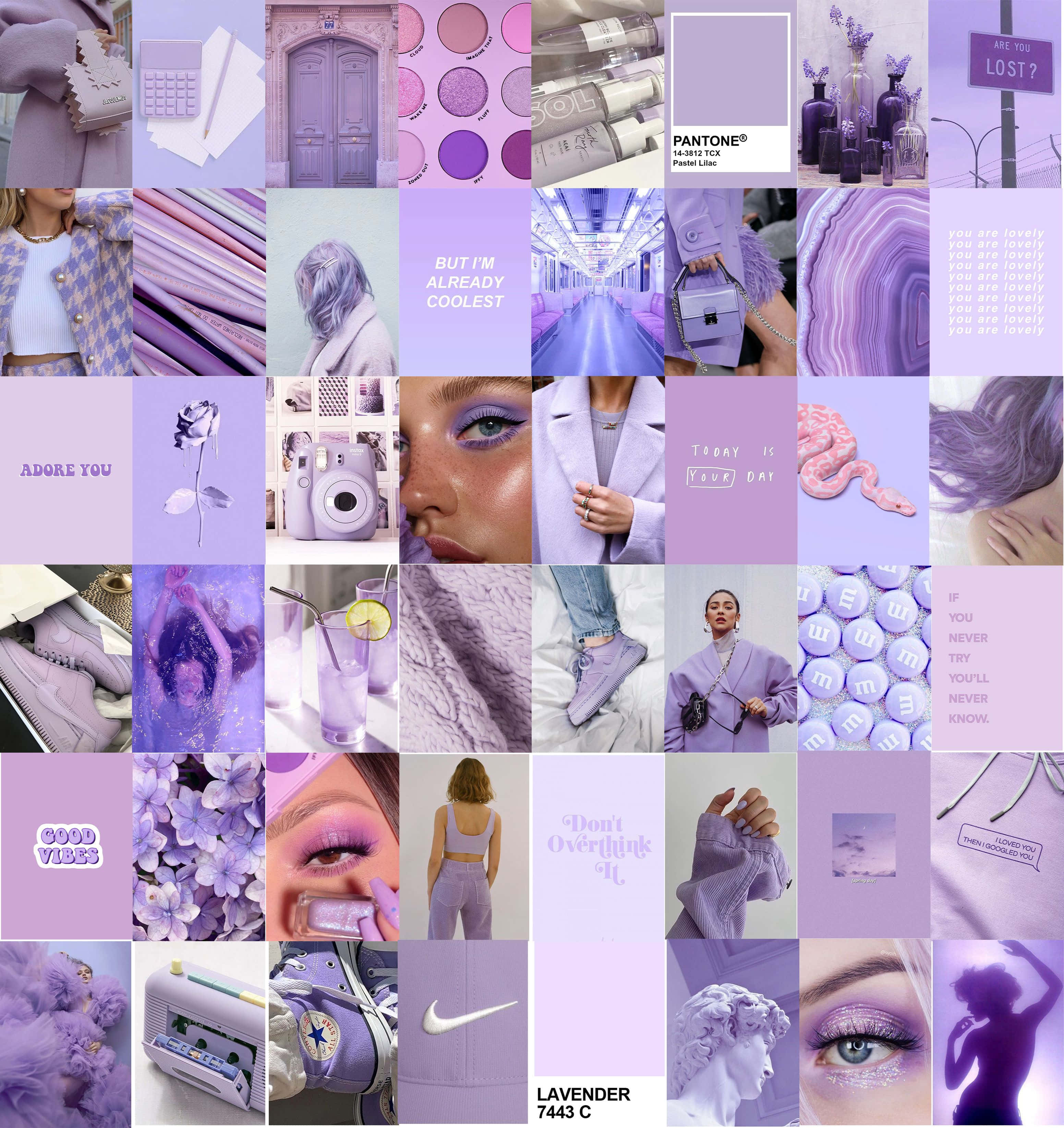 Colaj Estetic Feminin în Nuanțe de Violet Fundal
