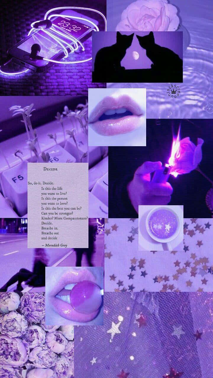 Colaj Lavandă Fundal Pastel Violet Estetic Fundal