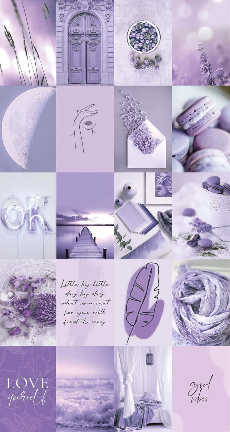 Colaj Pinterest Fundal Lavandă Pastel Mov Estetic Fundal