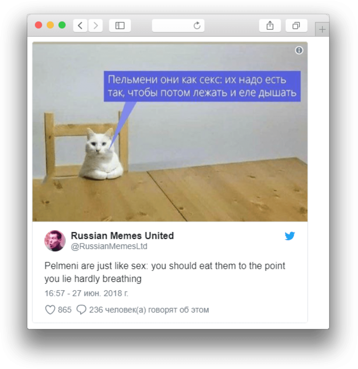 Comparație Meme Pisică Rusă cu Pelmeni Fundal