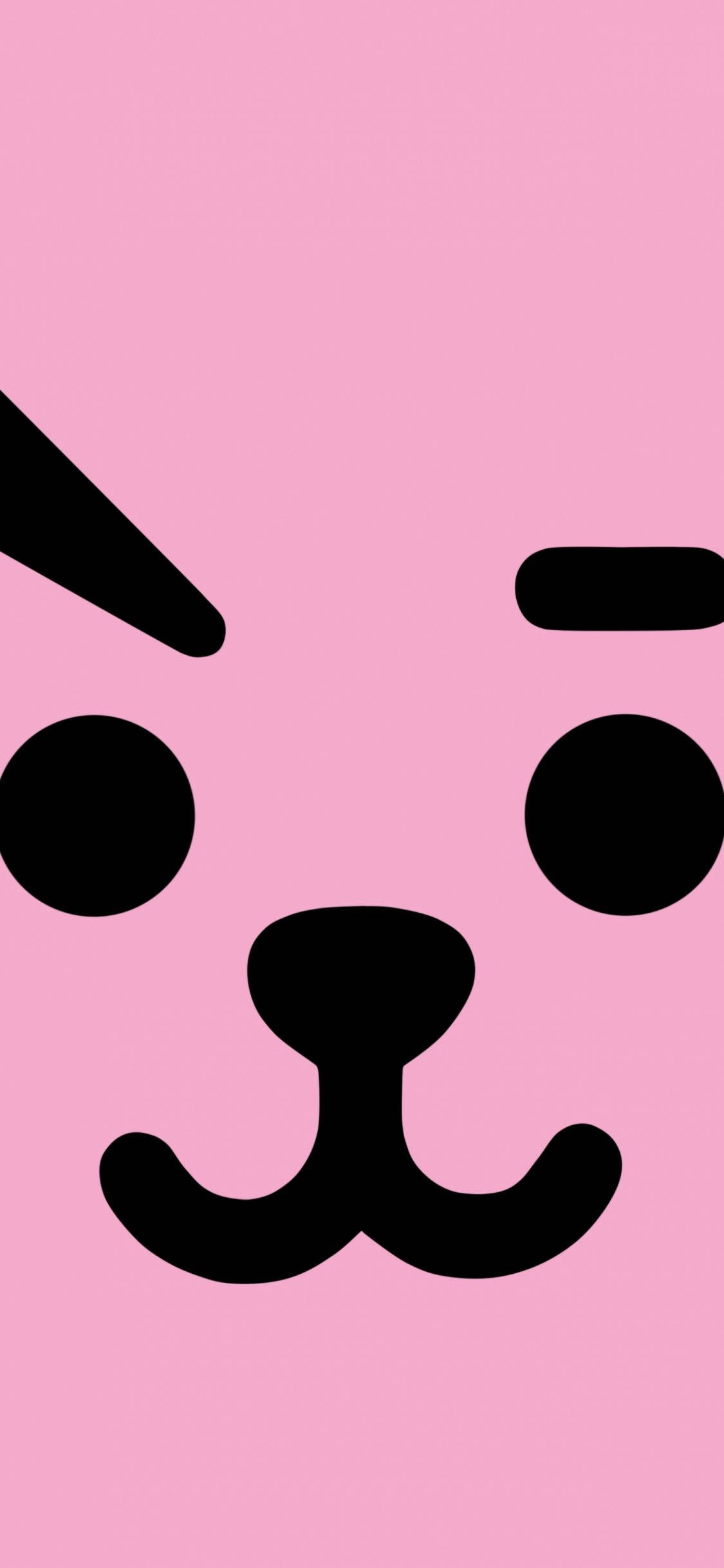 Cooky Bt21 Fața Completă Fundal