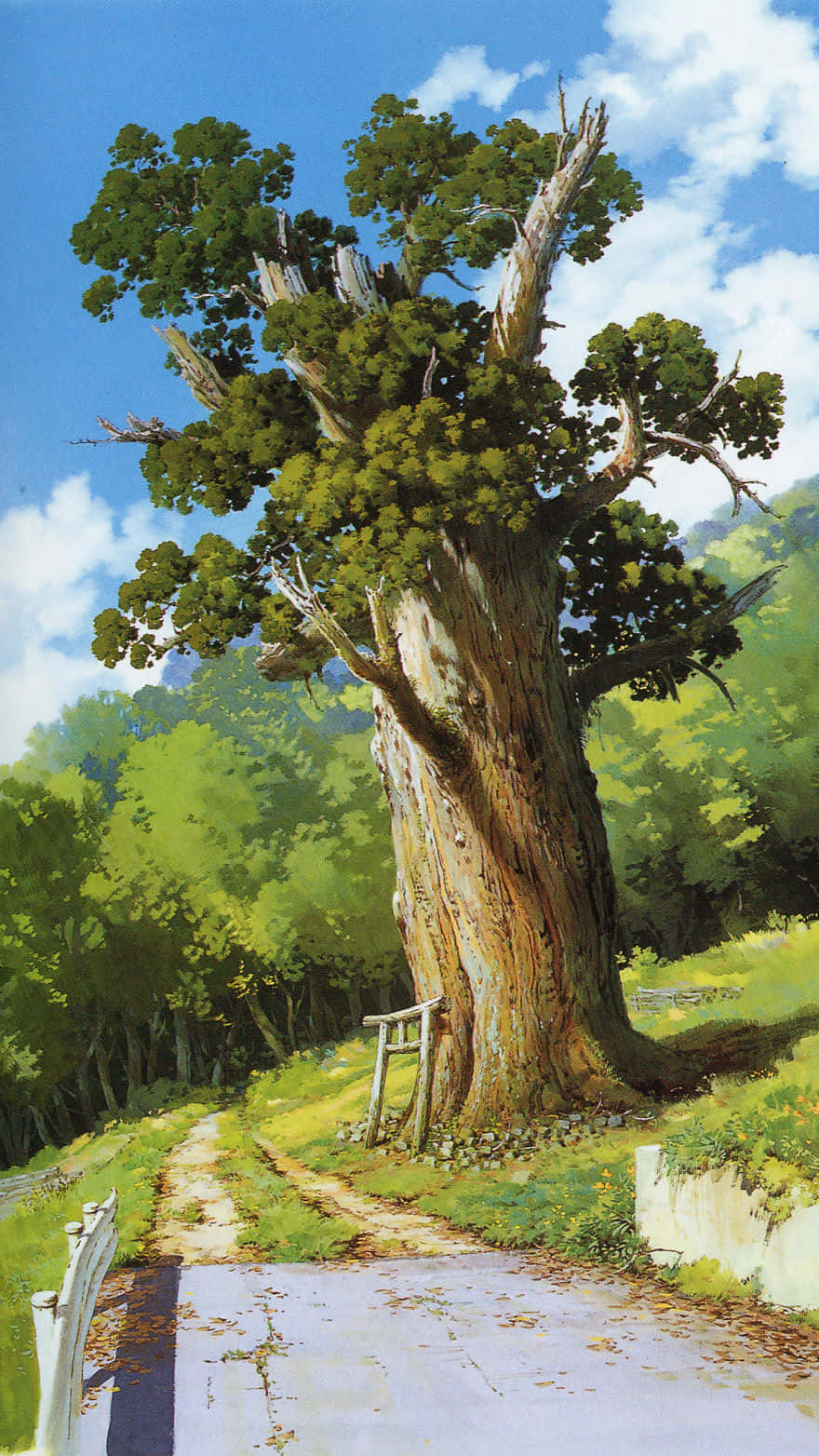 Copac Bătrân Studio Ghibli Telefon Fundal