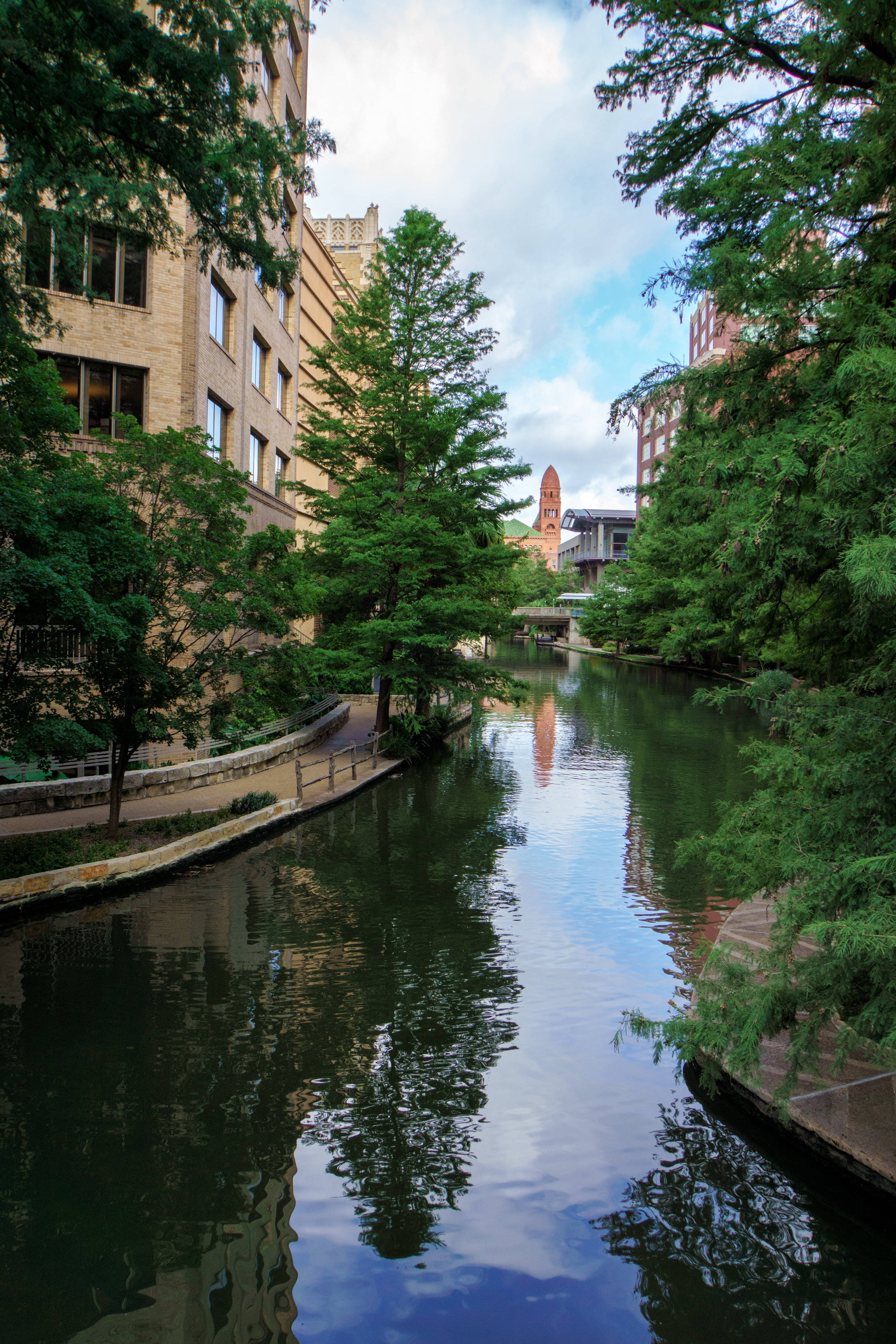 Copaci de-a Lungul Plimbării Râului San Antonio Fundal
