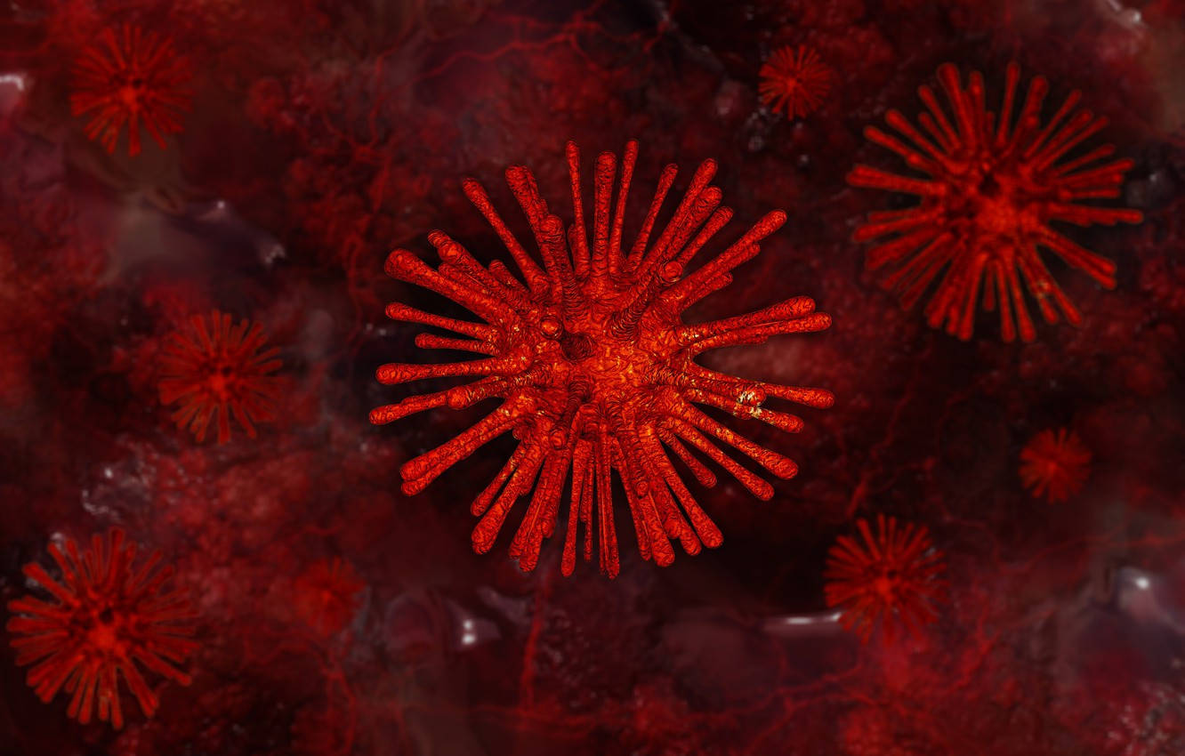 Coronavirus Model Fireworks Shred Fundal