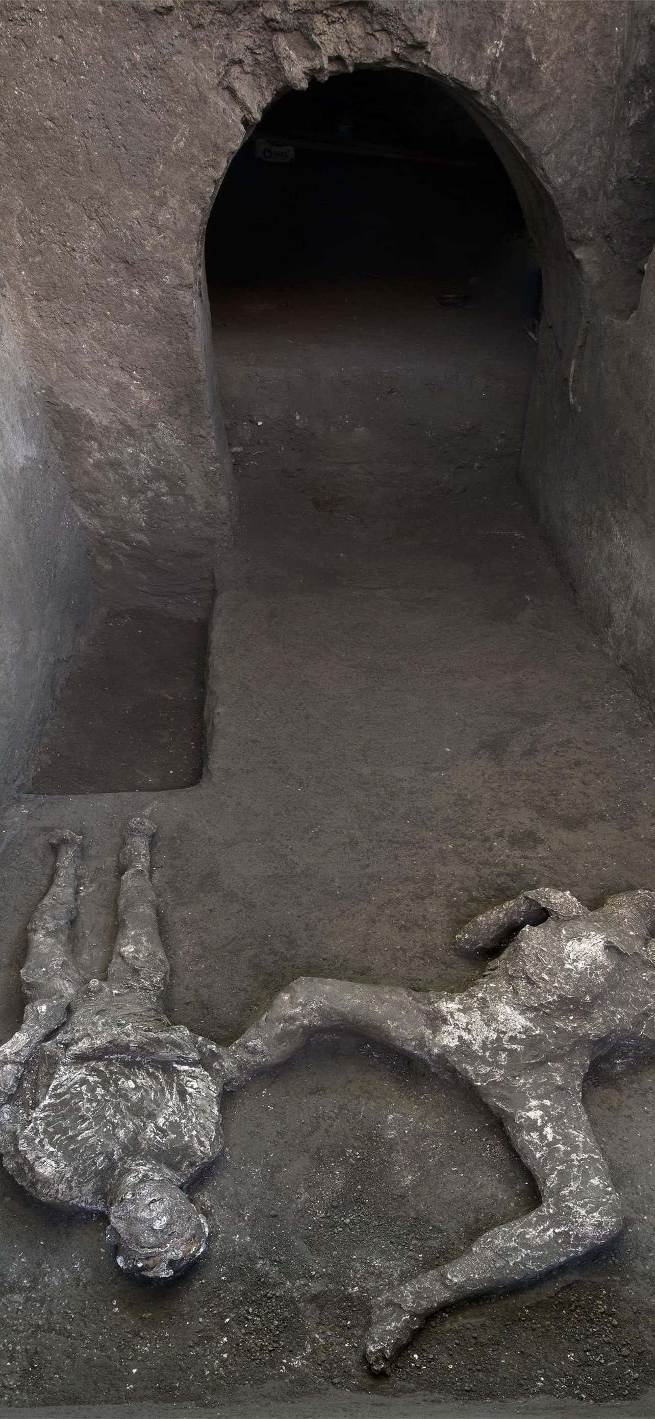 Corpuri Umane Dezescoperite La Pompeii Fundal