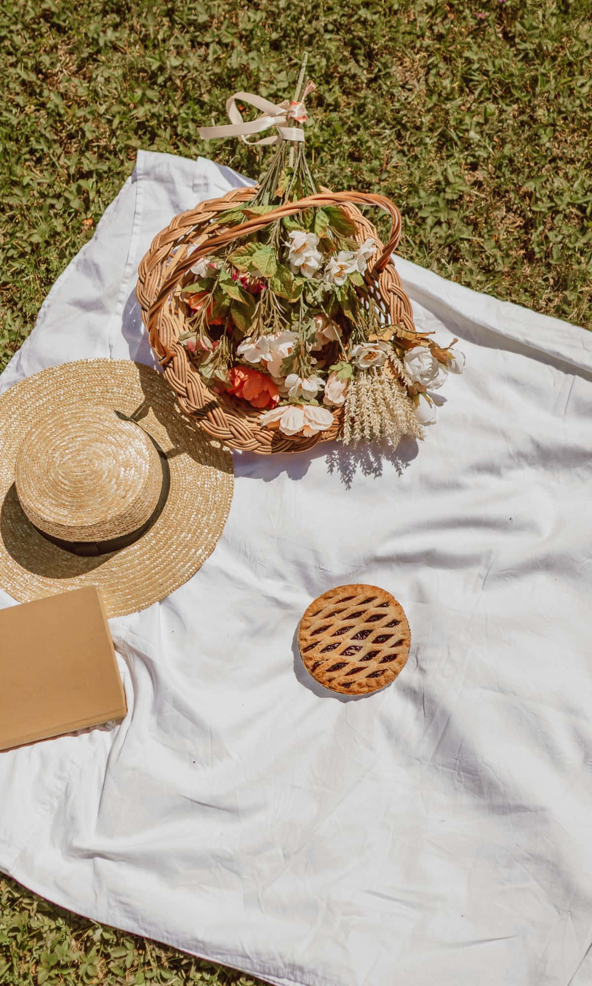 coș de picnic cu o pălărie, un coș și una carte Fundal