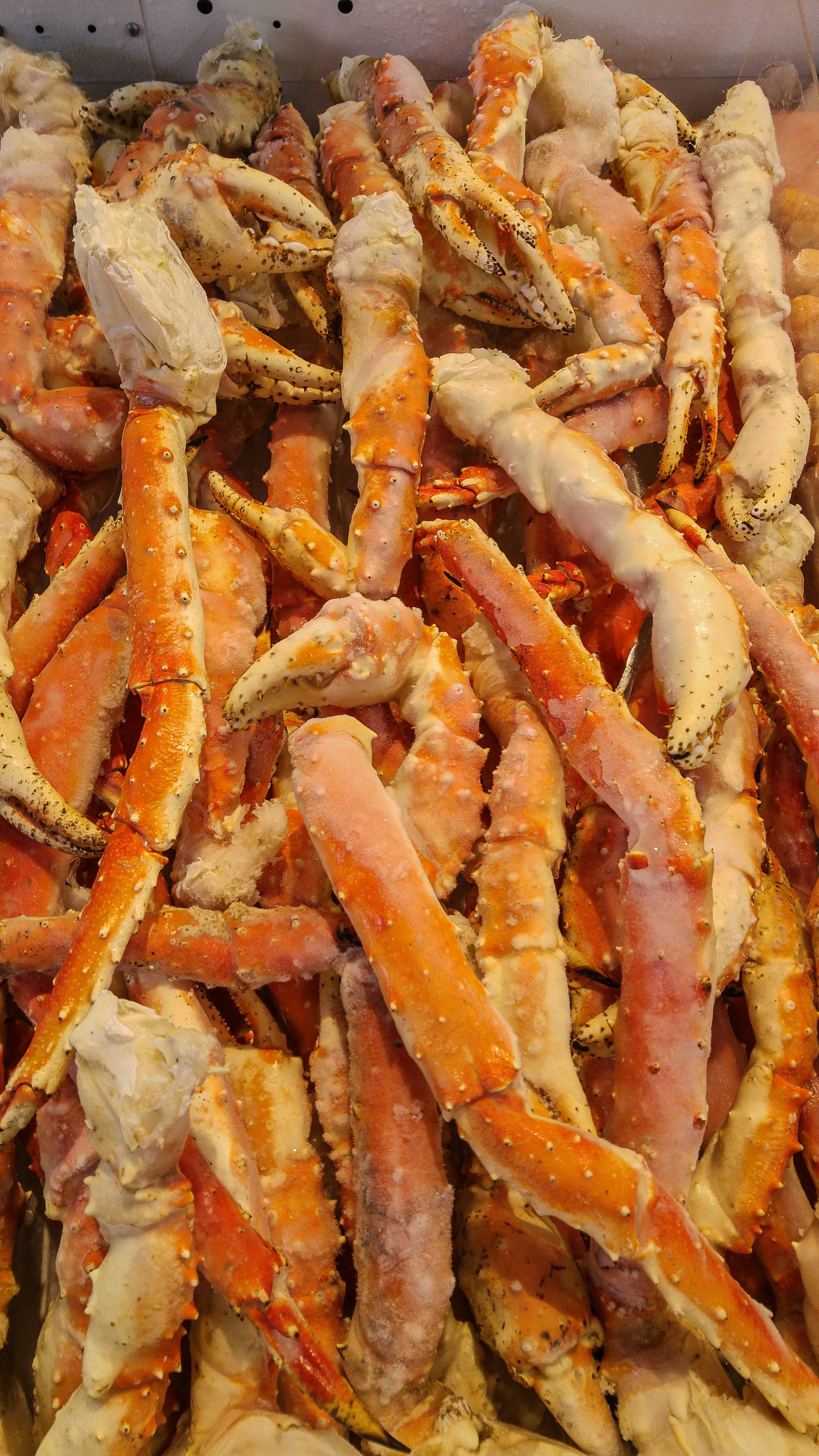 Crab Regal în Habitatul său Natural Fundal