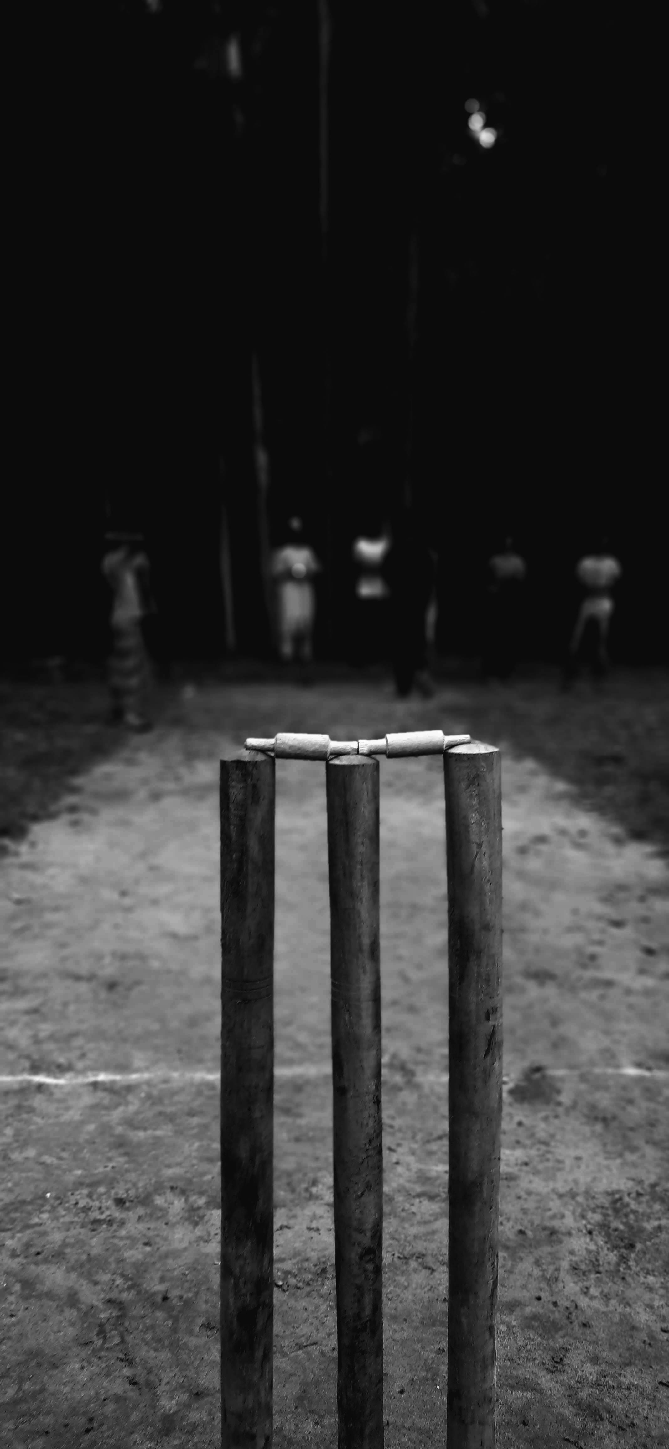 Buturugă de Cricket în Nuanțe de Gri Fundal